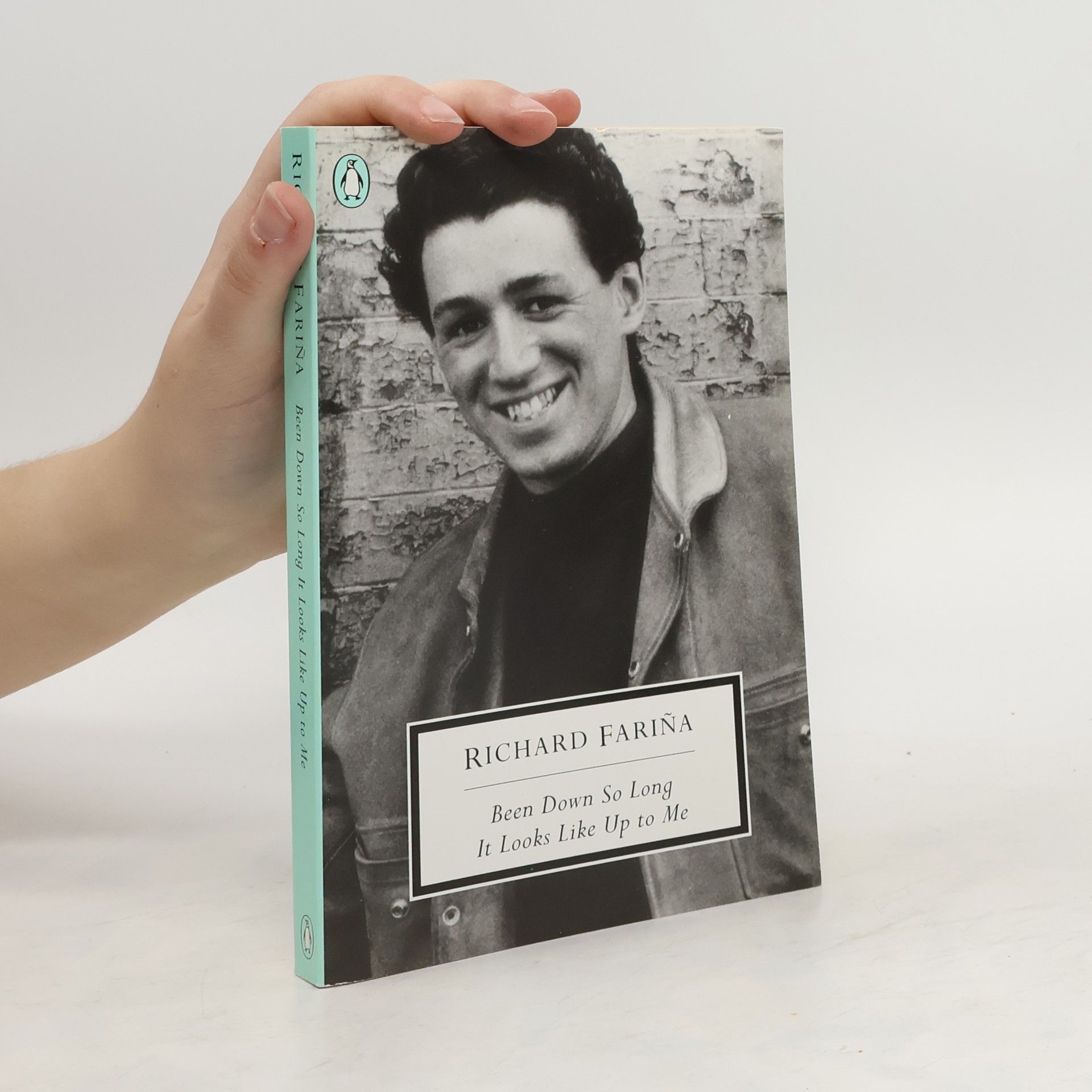 AA.VV. Been Down So Long It Looks Lik