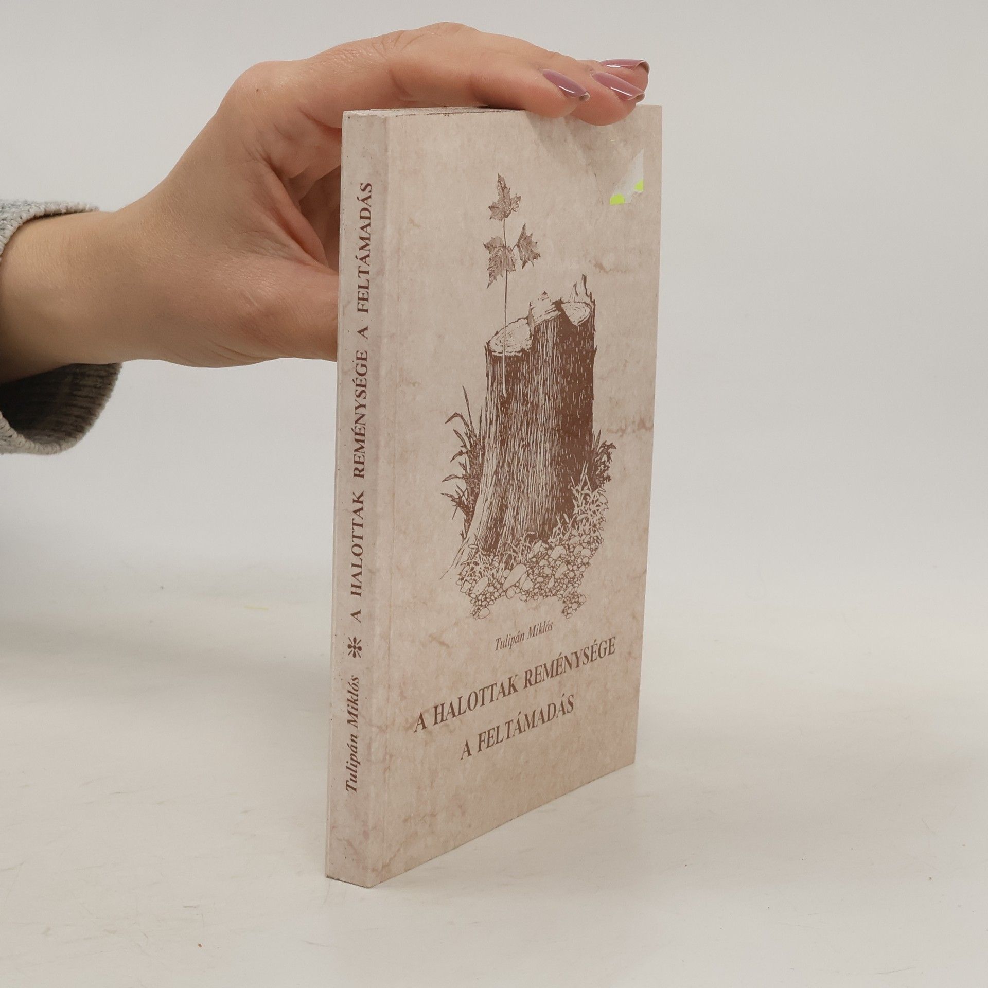 Tulipán Miklos A Halottak Reménysége a Feltámadás