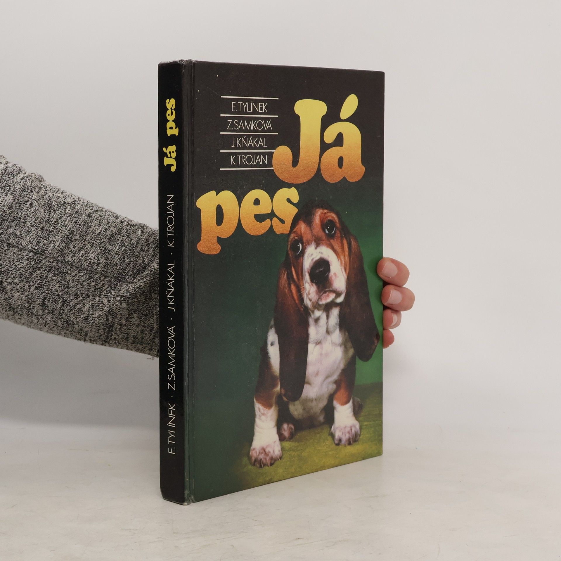 E. Tylínek Já pes