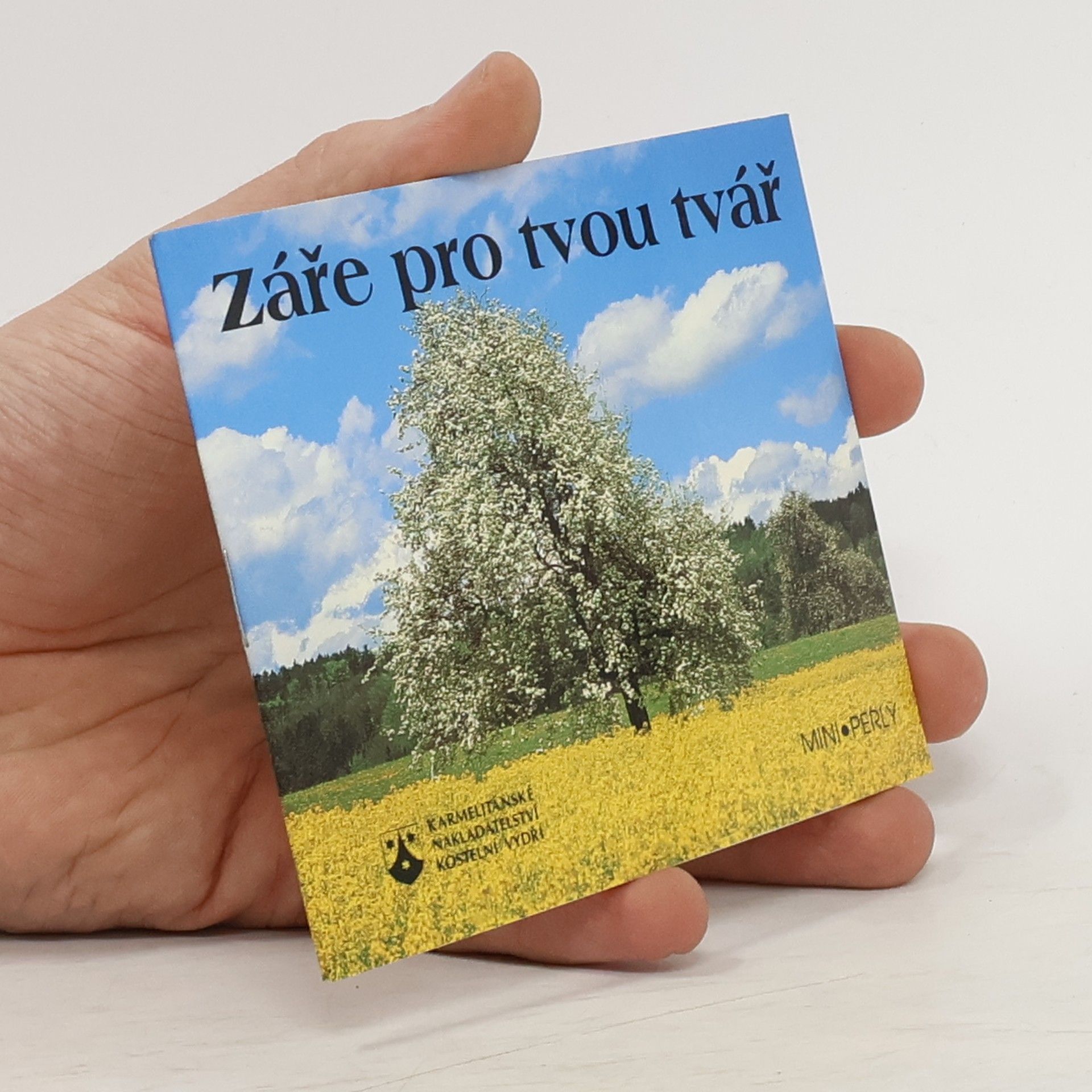 Collectif d'auteurs Záře pro tvou tvář