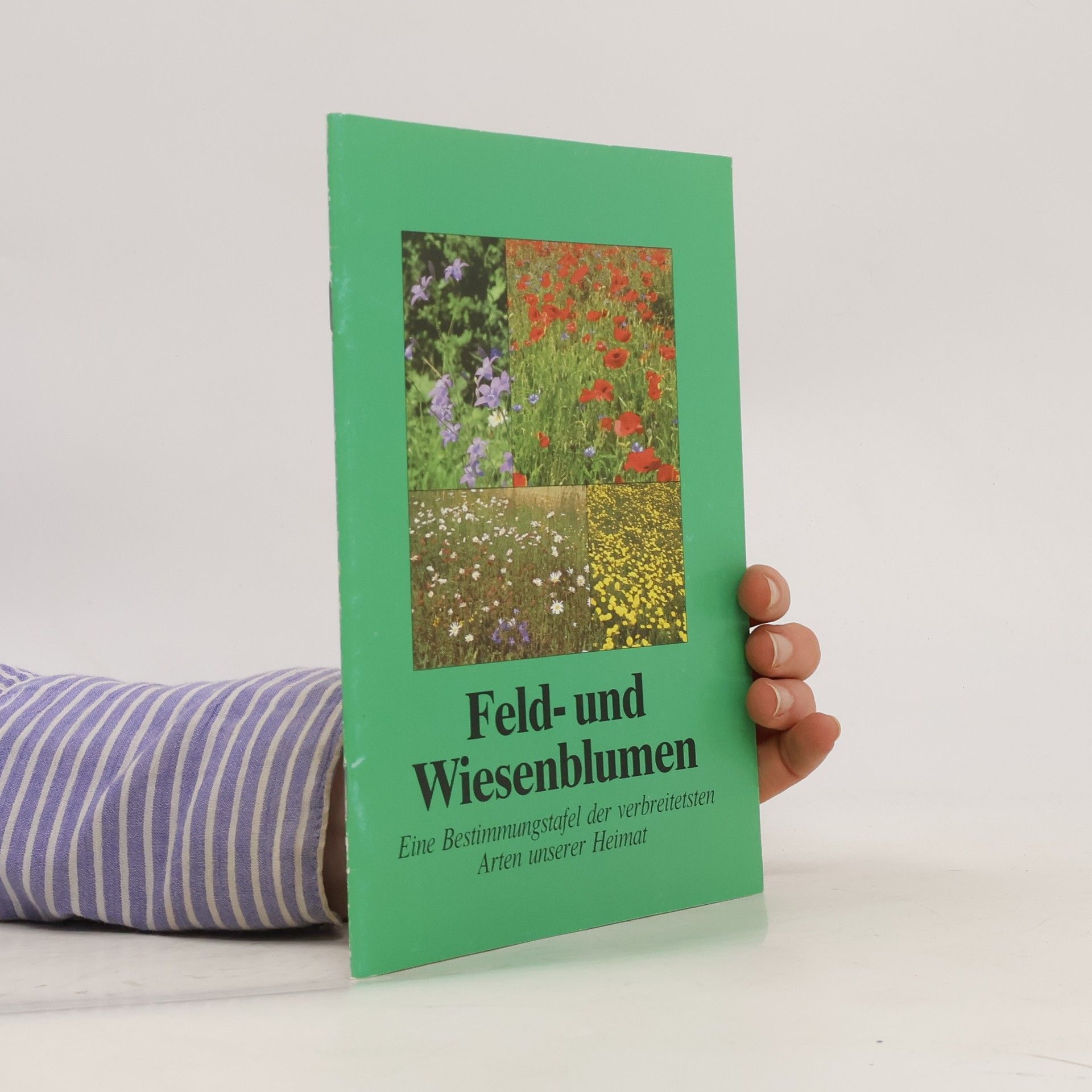 Autorenkollektiv Feld- und Wiesenblumen