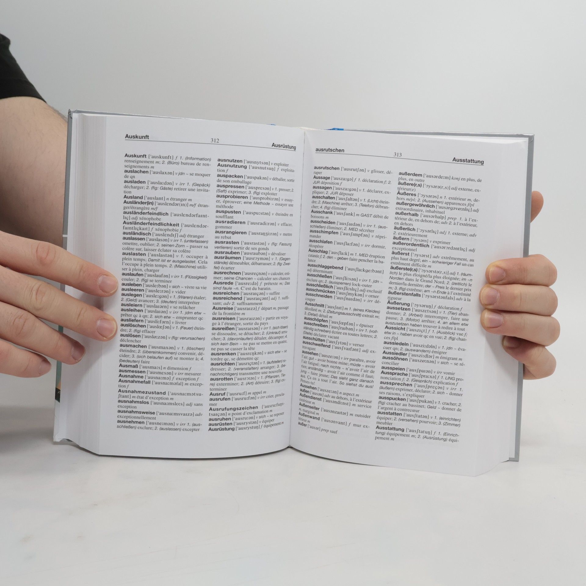Ilse Hell Grosses Wörterbuch Französisch