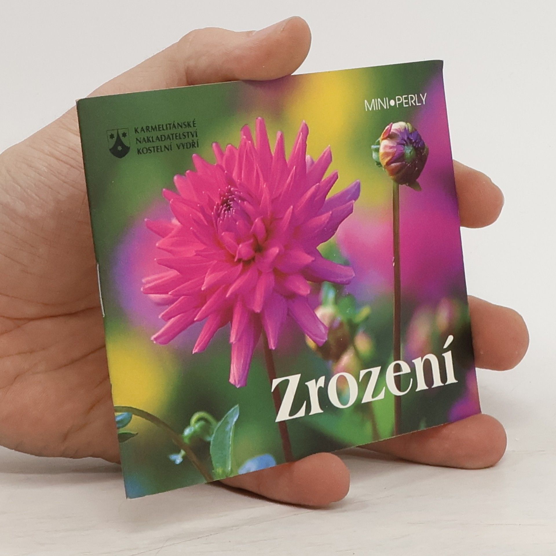 Oľga Reumannová Zrození