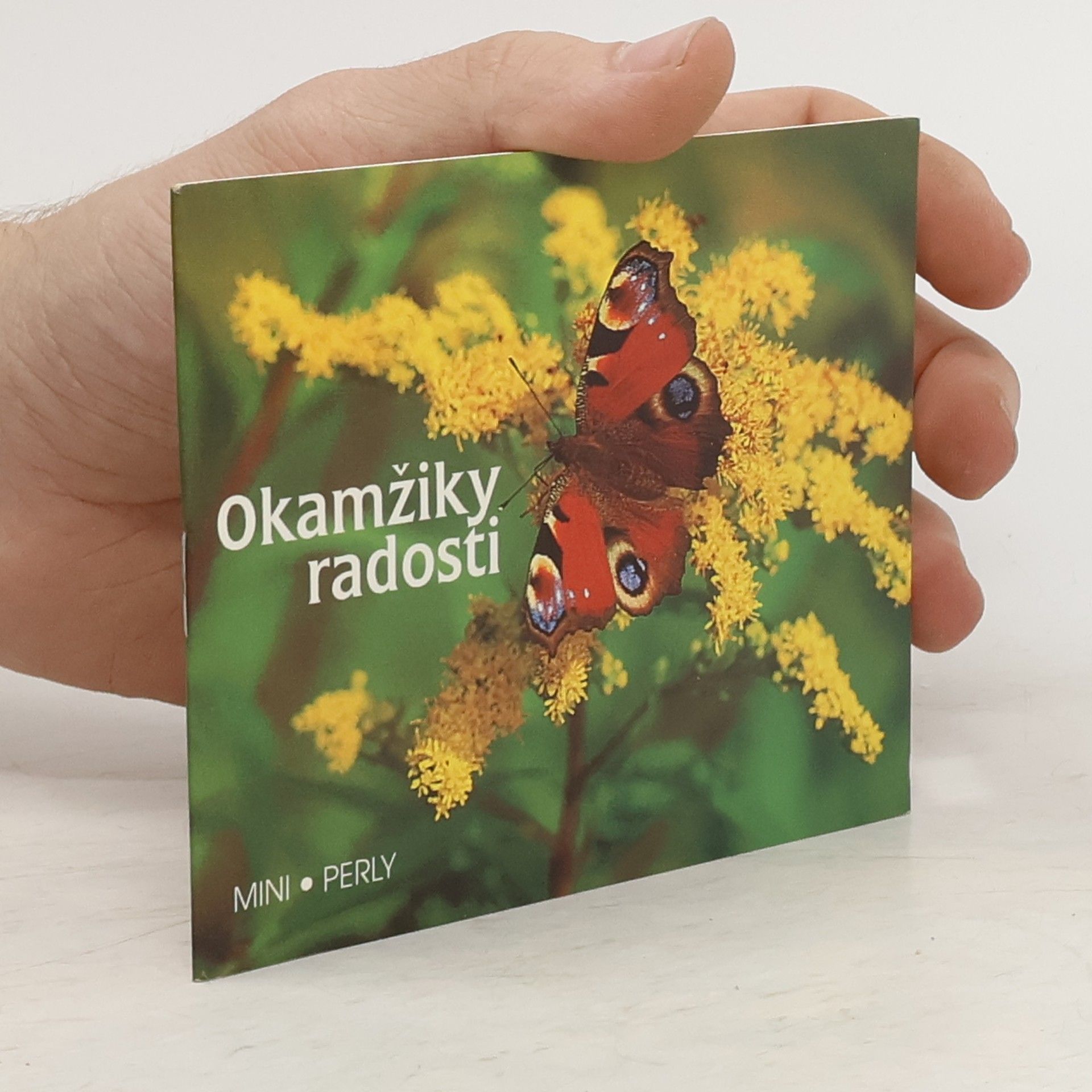 Autorenkollektiv Okamžiky radosti