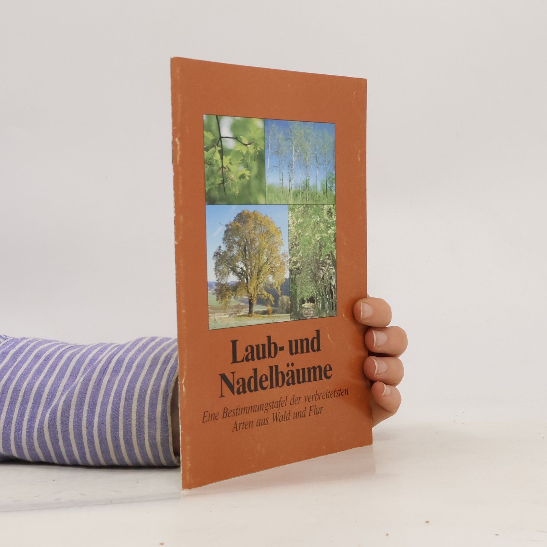 Autorenkollektiv Laub- und Nadelbäume. Eine Bestimmungstafel der am verbreitetsten Arten aus Wald und Flur