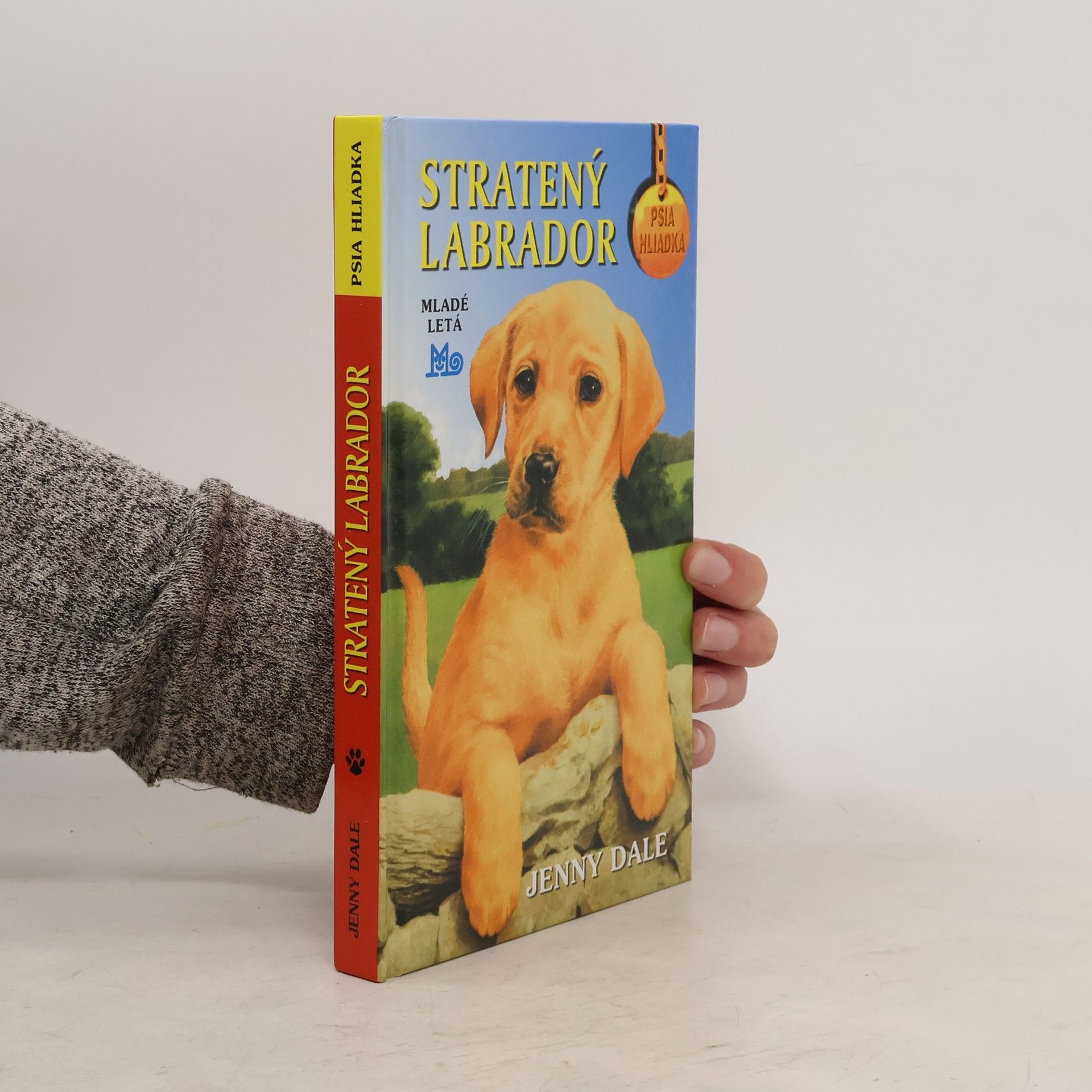 Linda Chapman Stratený labrador