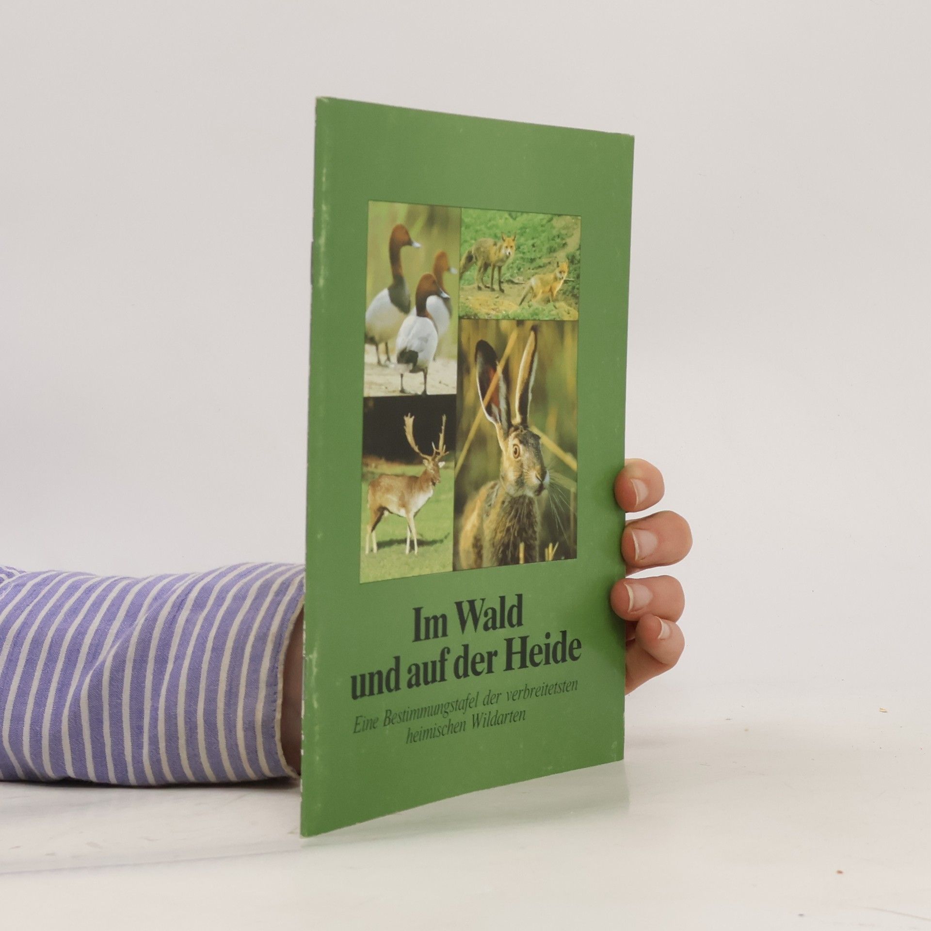 Collectif d'auteurs Im Wald und auf der Heide