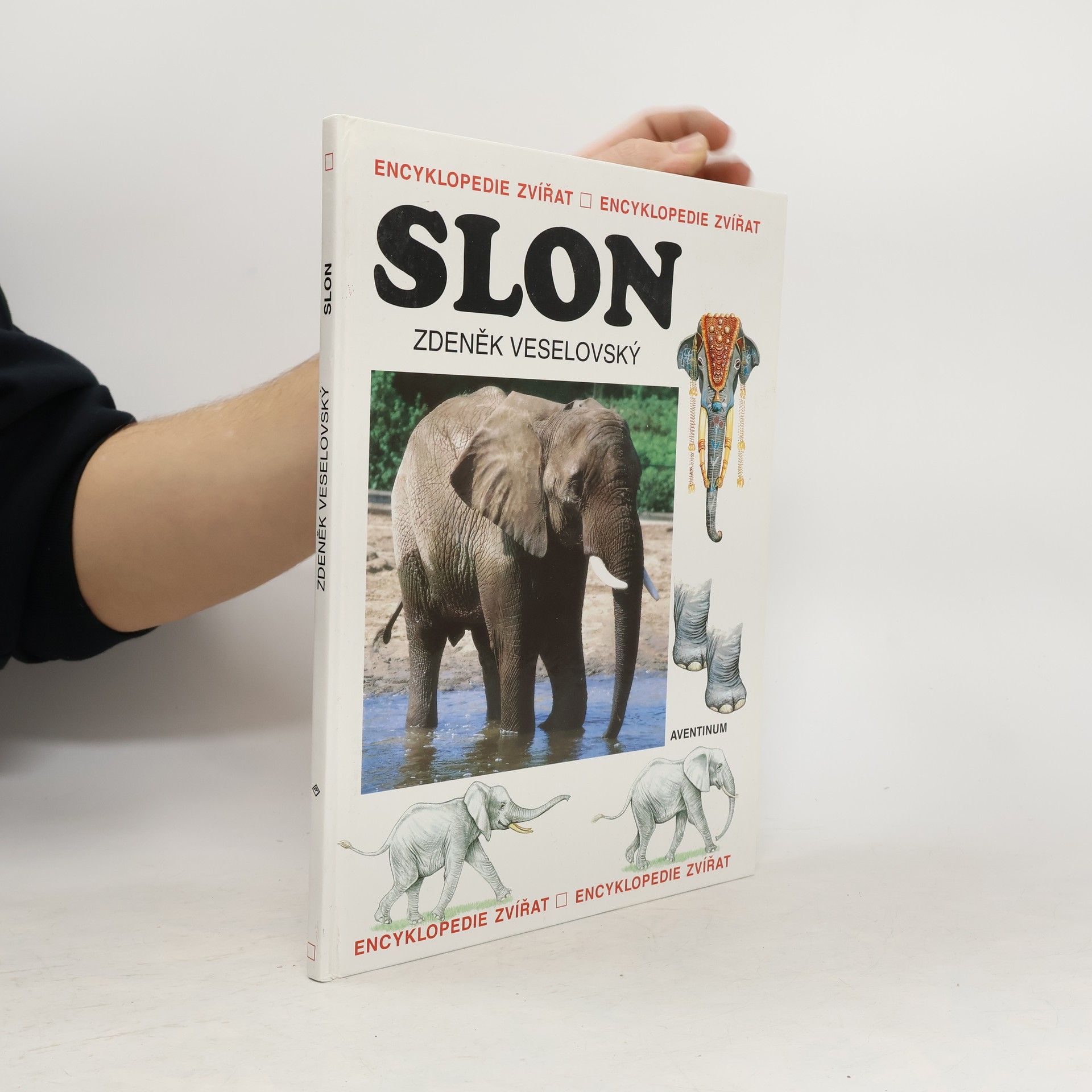 Zdeněk Veselovský Slon