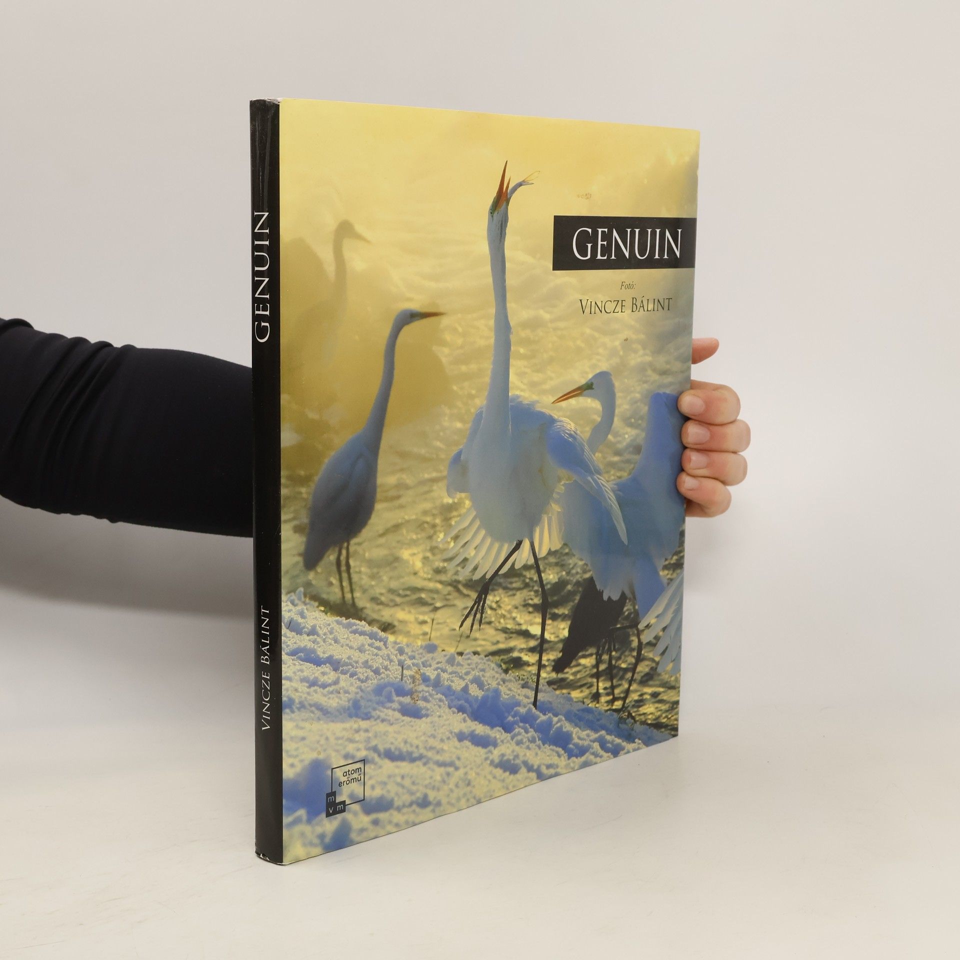Bálint Vincze Genuine : the images of four years compressed into four seasons