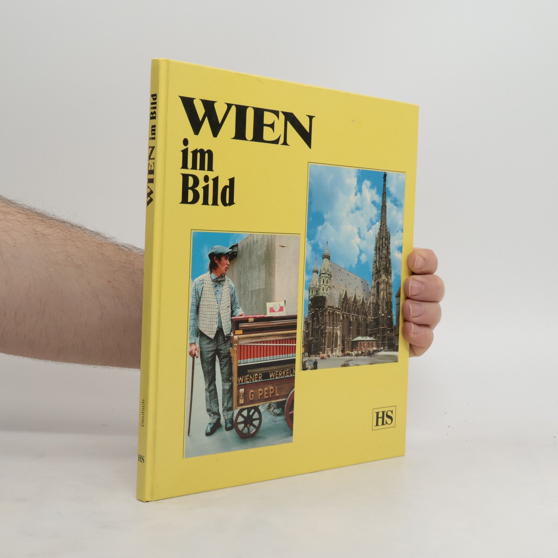 Marion Schmid-Drüner Wien im Bild