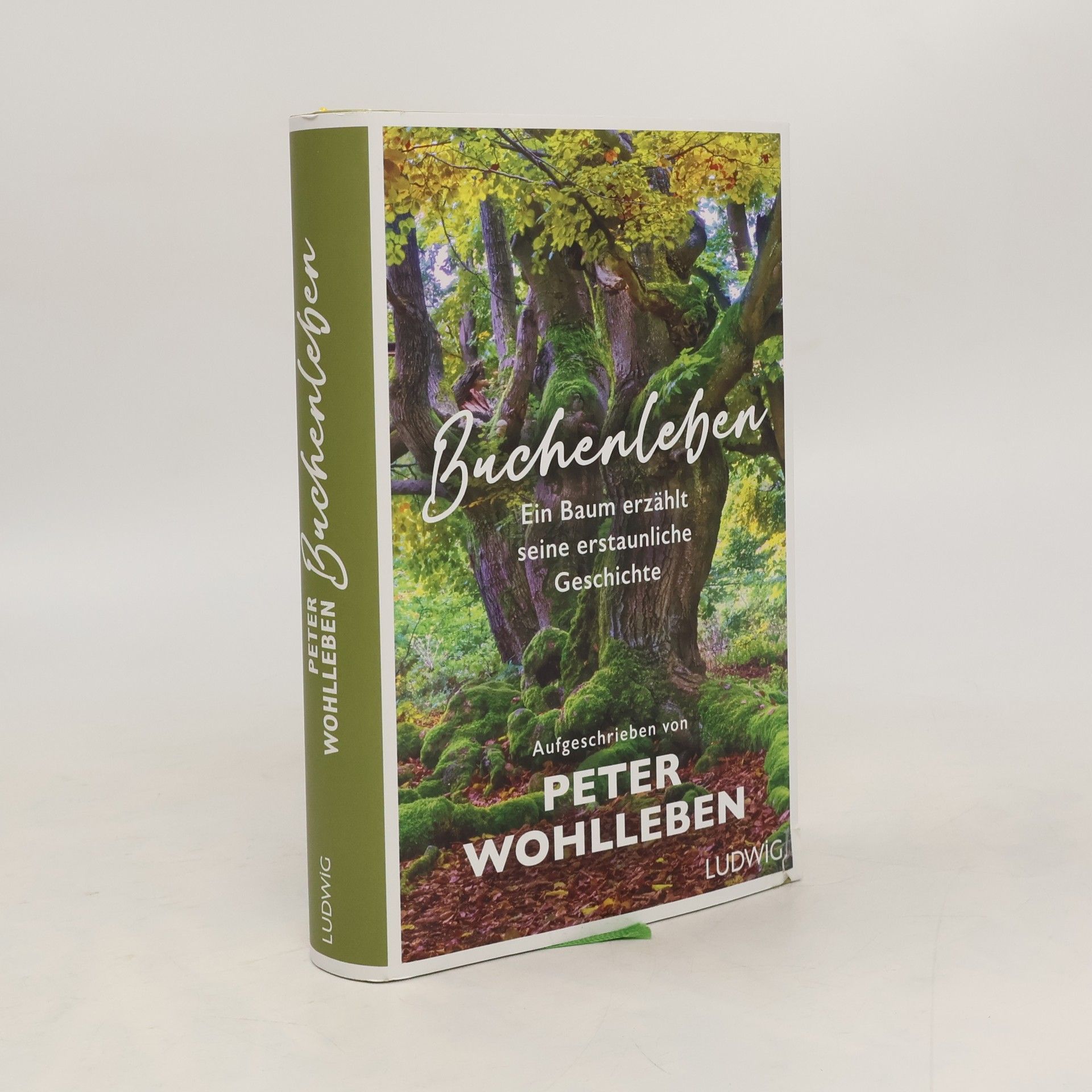 Peter Wohlleben Buchenleben. Ein Baum erzählt seine erstaunliche Geschichte