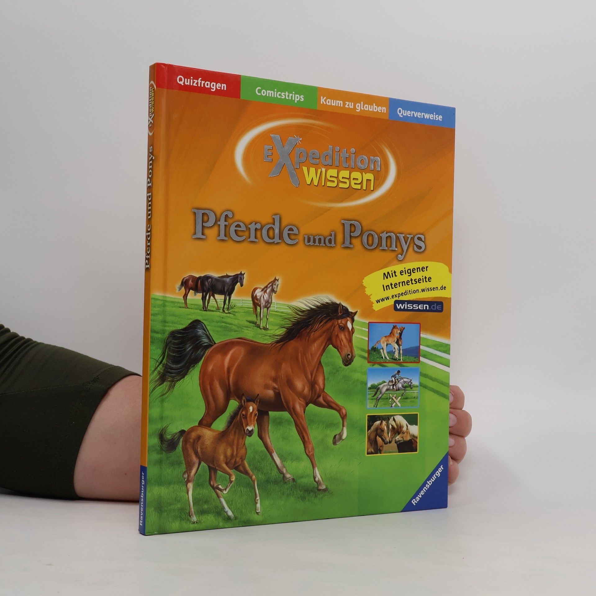 Elisabetta Ferrero Pferde und Ponys