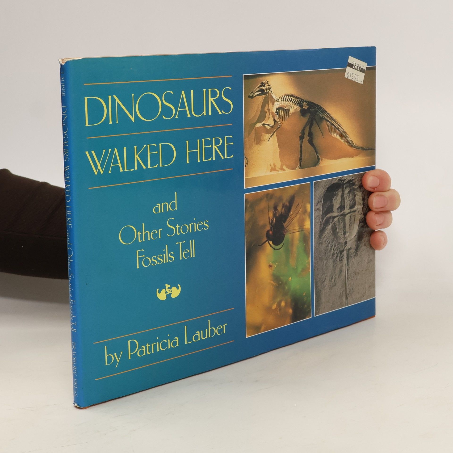 Patrcia Lauber Dinosaurs Walked Here and Other Stories Fossils Tell