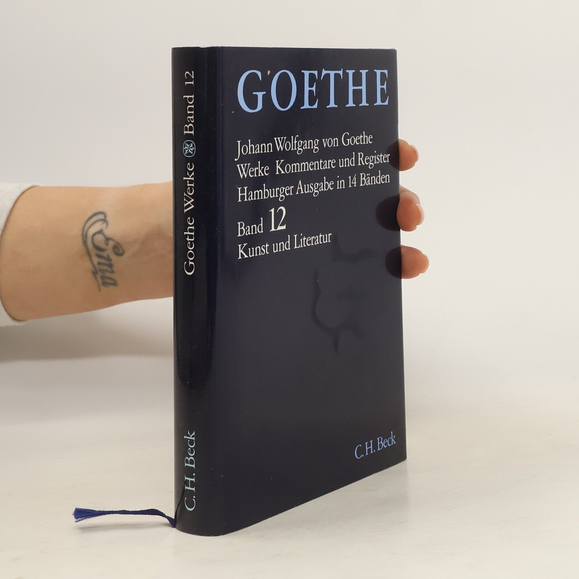 Sabina Jankovičová Schriften zur Kunst. Schriften zur Literatur. Maximen und Reflexionen