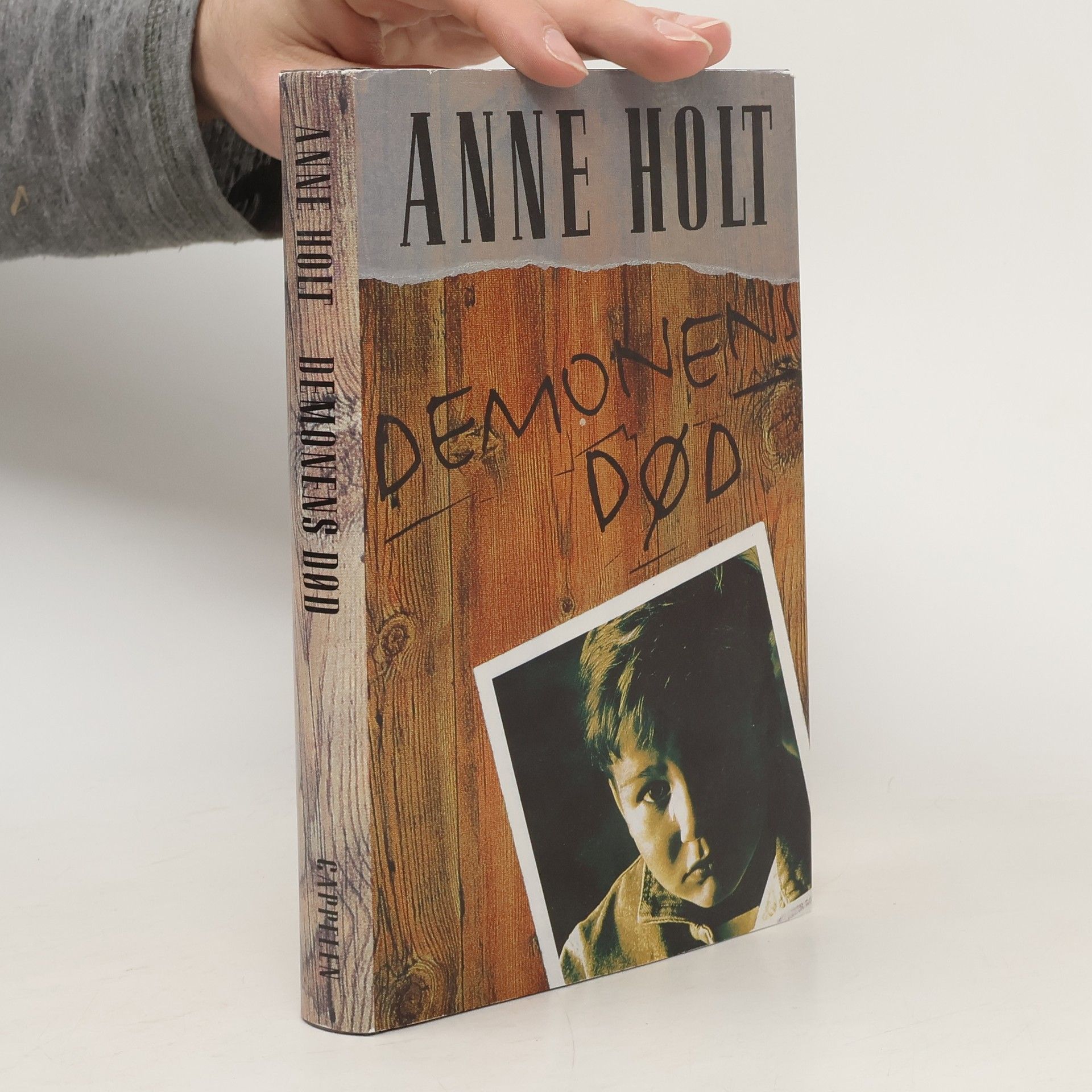 Anne Holt Demonens død
