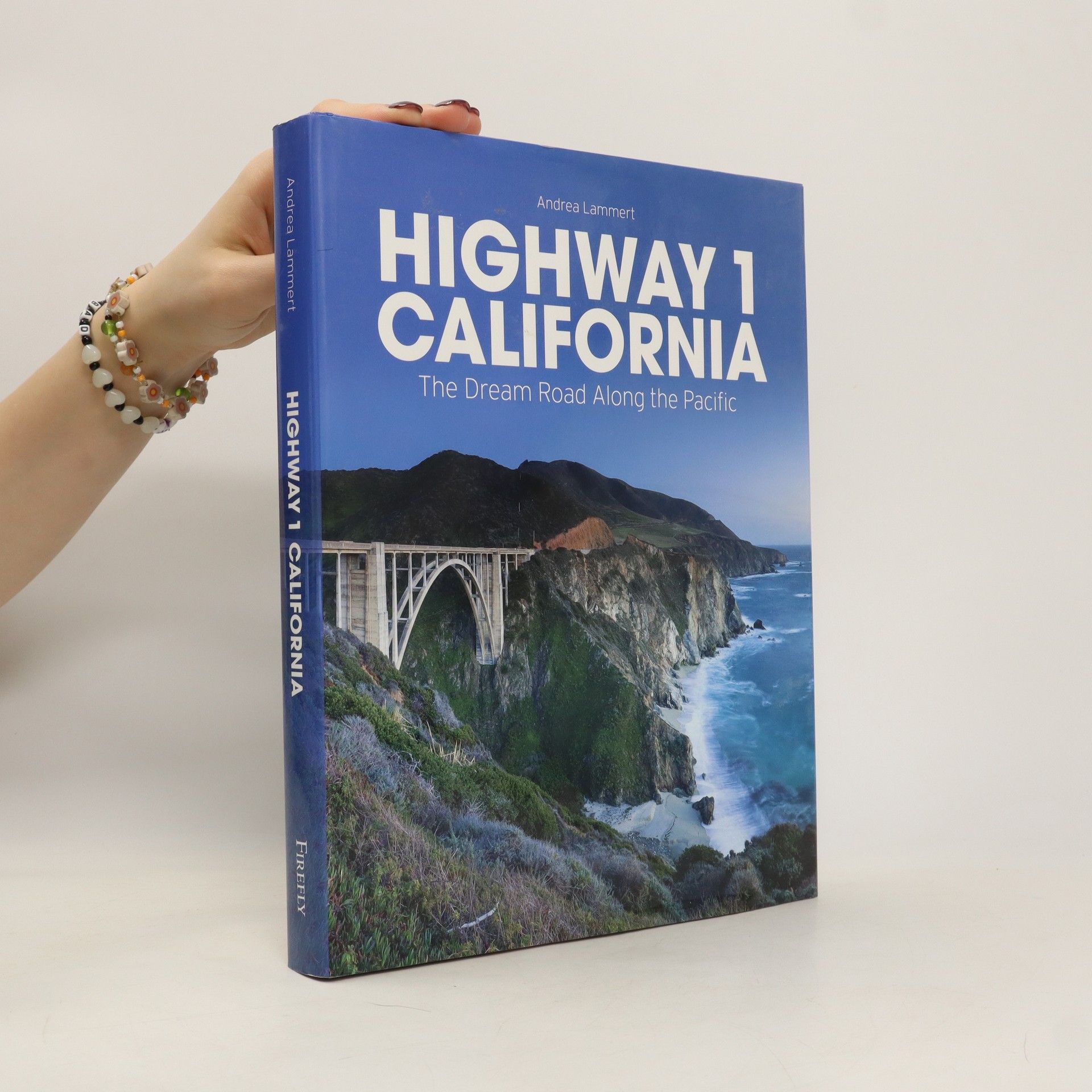 Andrea Lammert Highway 1 California