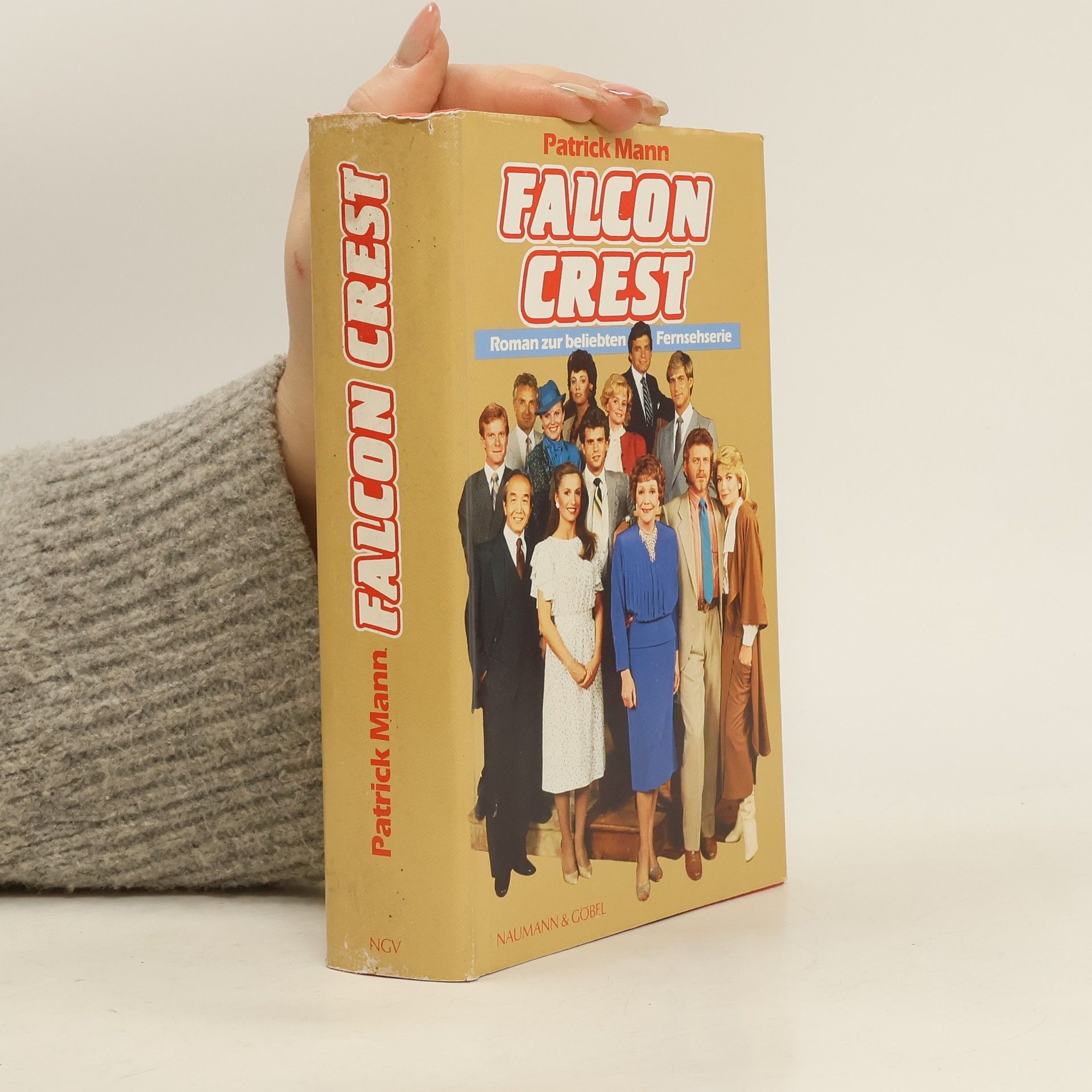 Patrick Mann Falcon Crest
