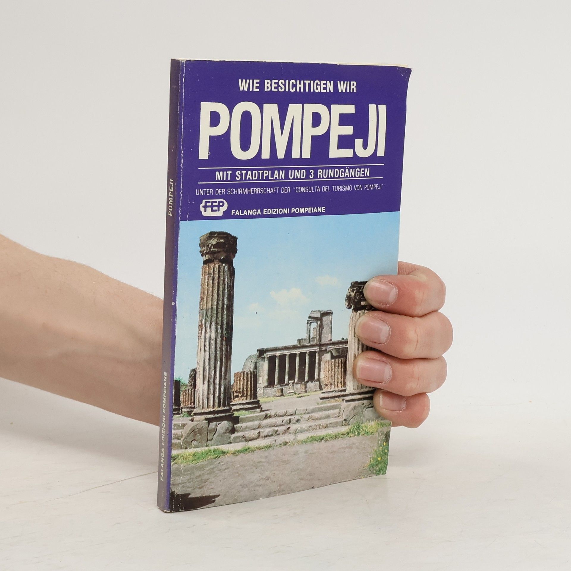 Autorenkollektiv Wie besichtigen wir Pompeji