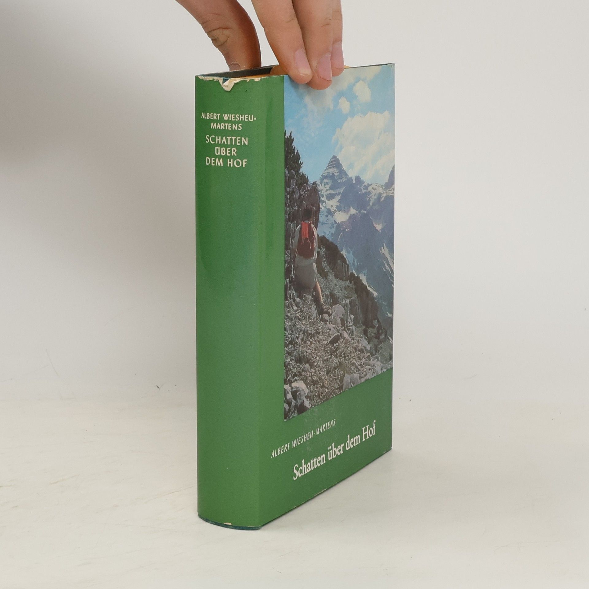 Albert Wiesheu Martens Schatten über dem Hof