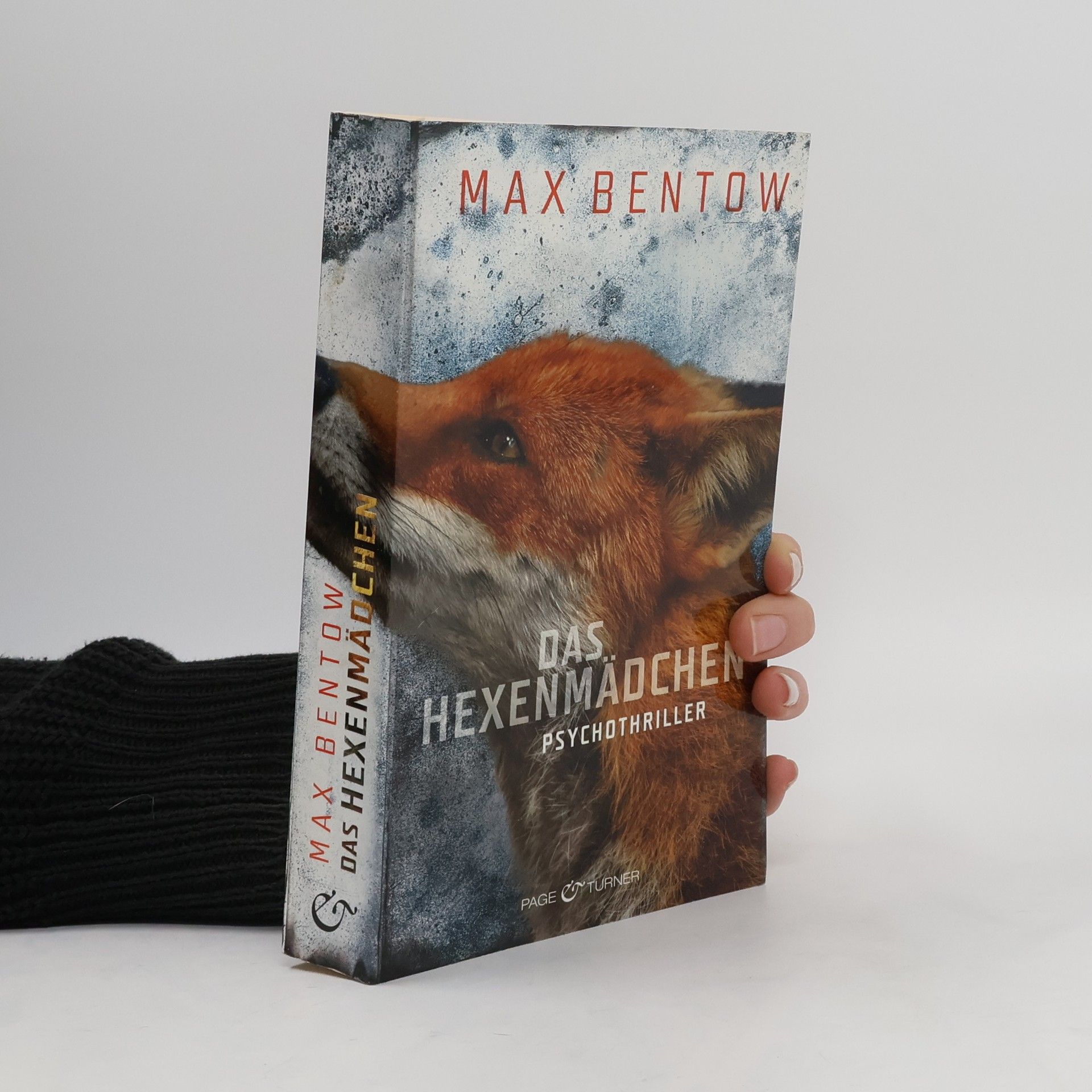 Max Bentow Das Hexenmädchen