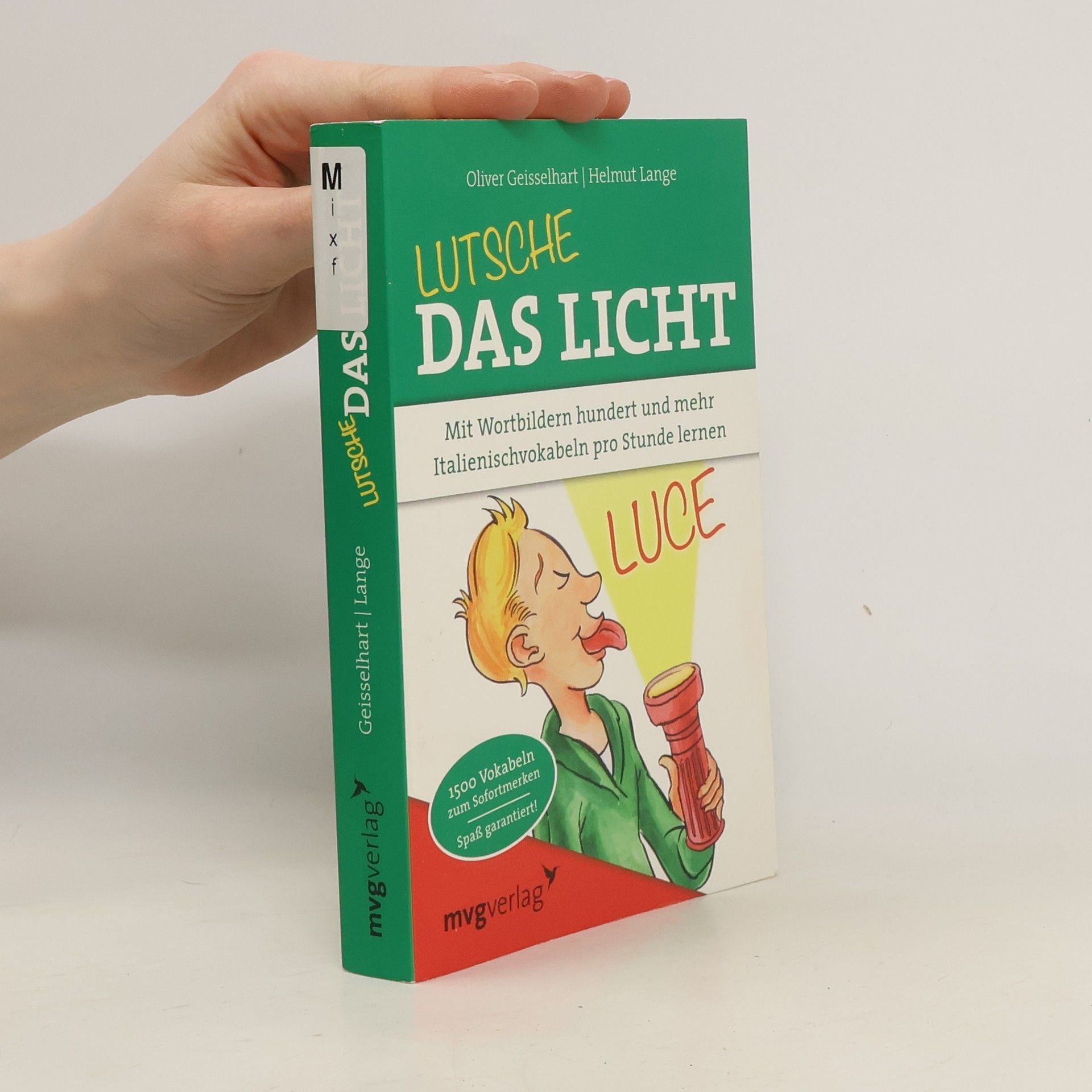 Oliver Geisselhart Lutsche das Licht