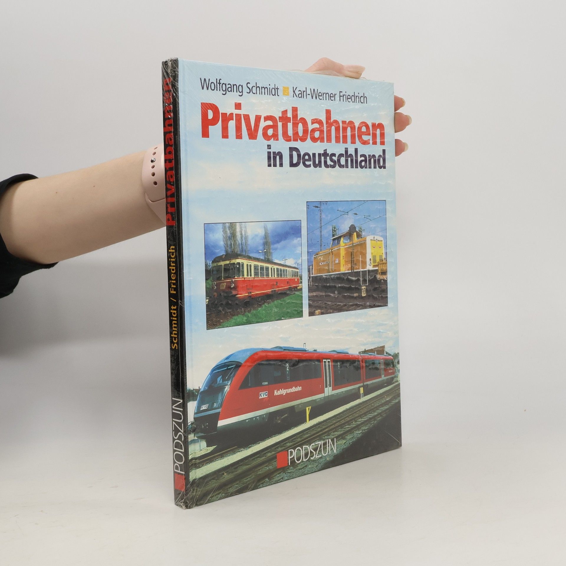 Wolfgang Schmidt-Sichermann Privatbahnen in Deutschland