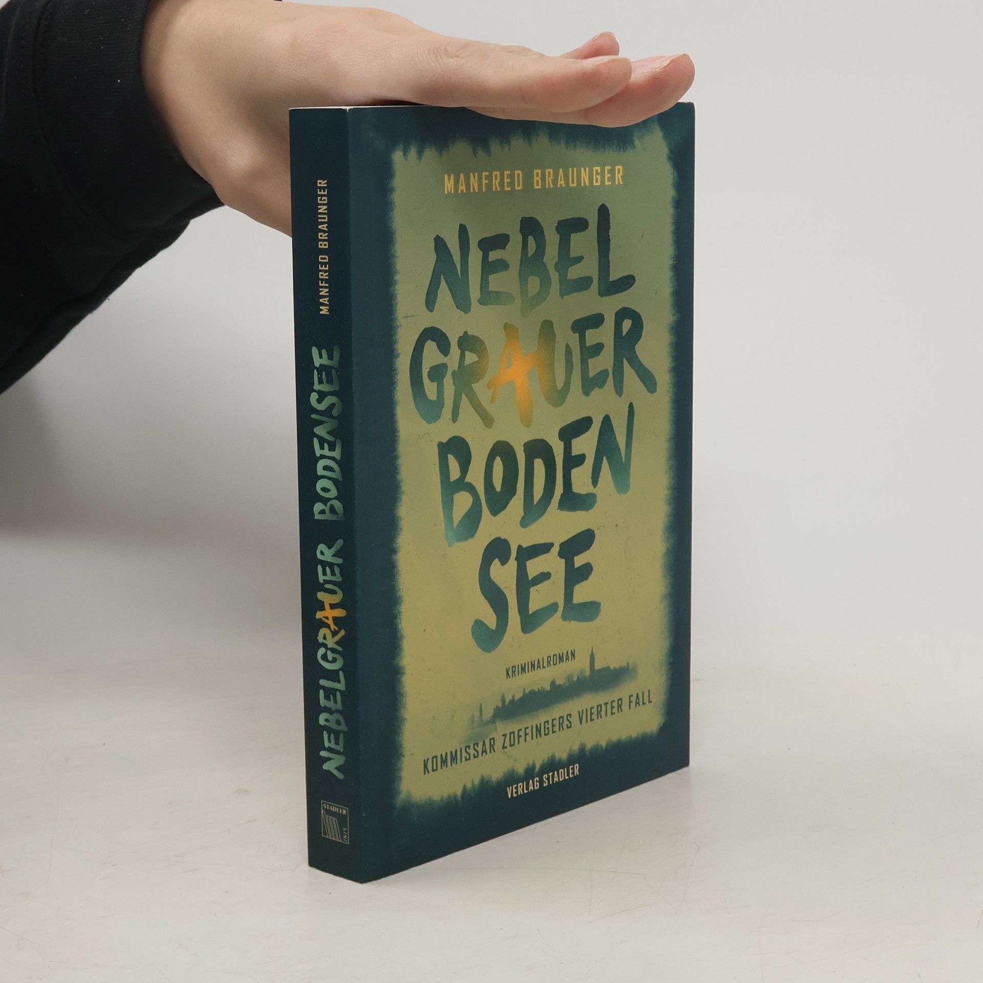Manfred Braunger Nebelgrauer Bodensee