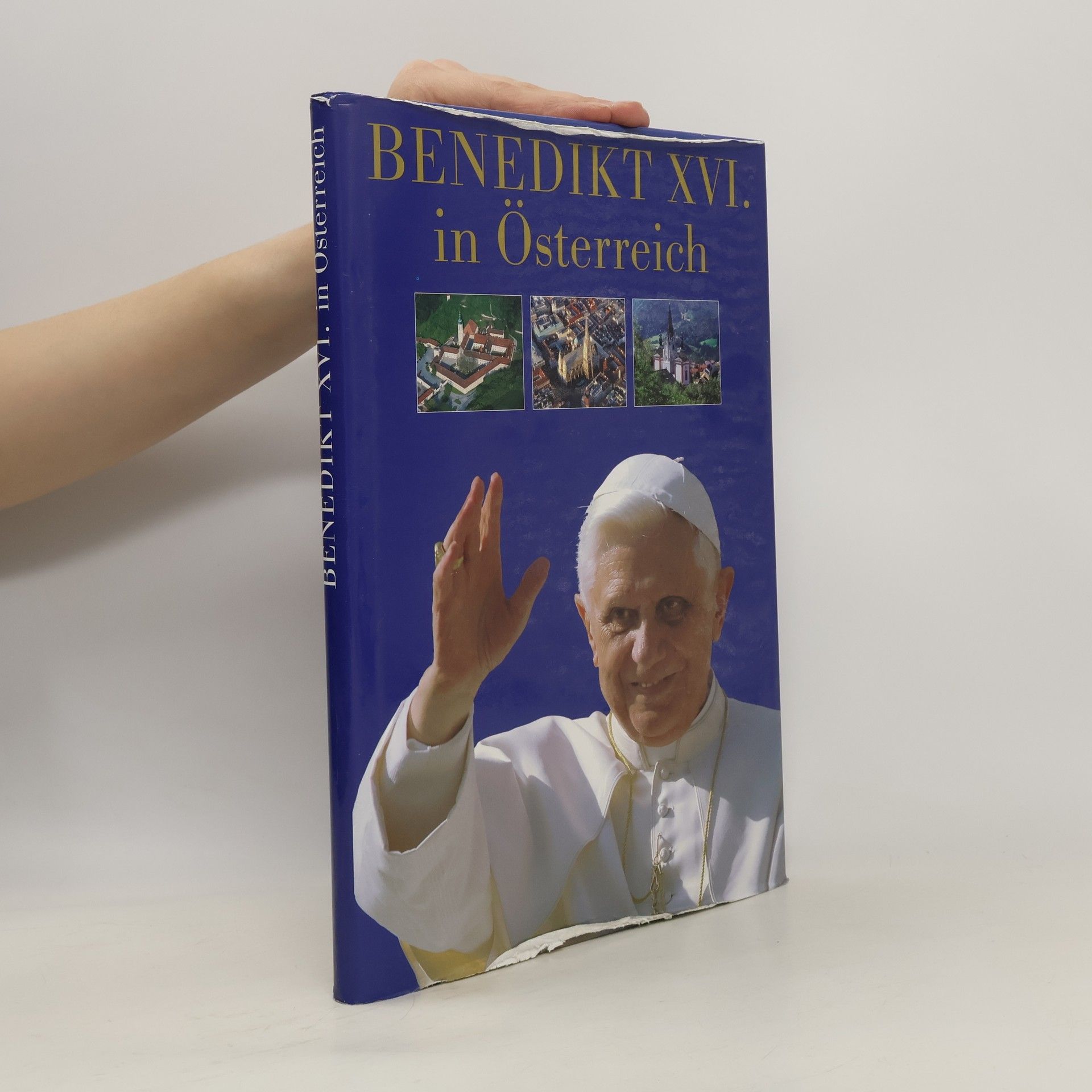 Collectif d'auteurs Benedikt XVI. in Österreich