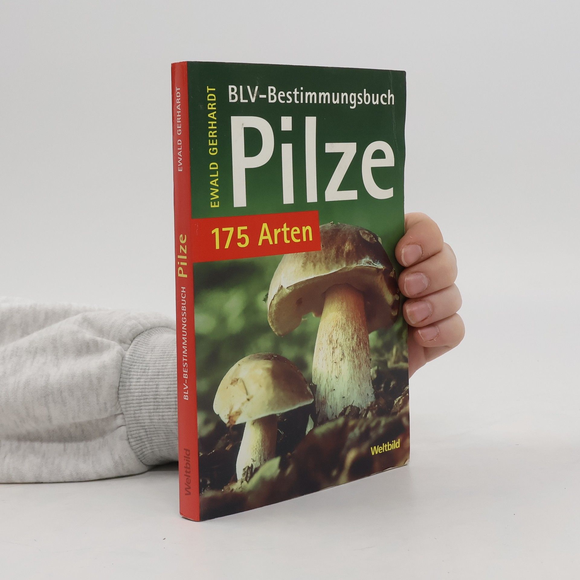 Ewald Gerhardt BLV-Bestimmungsbuch Pilze