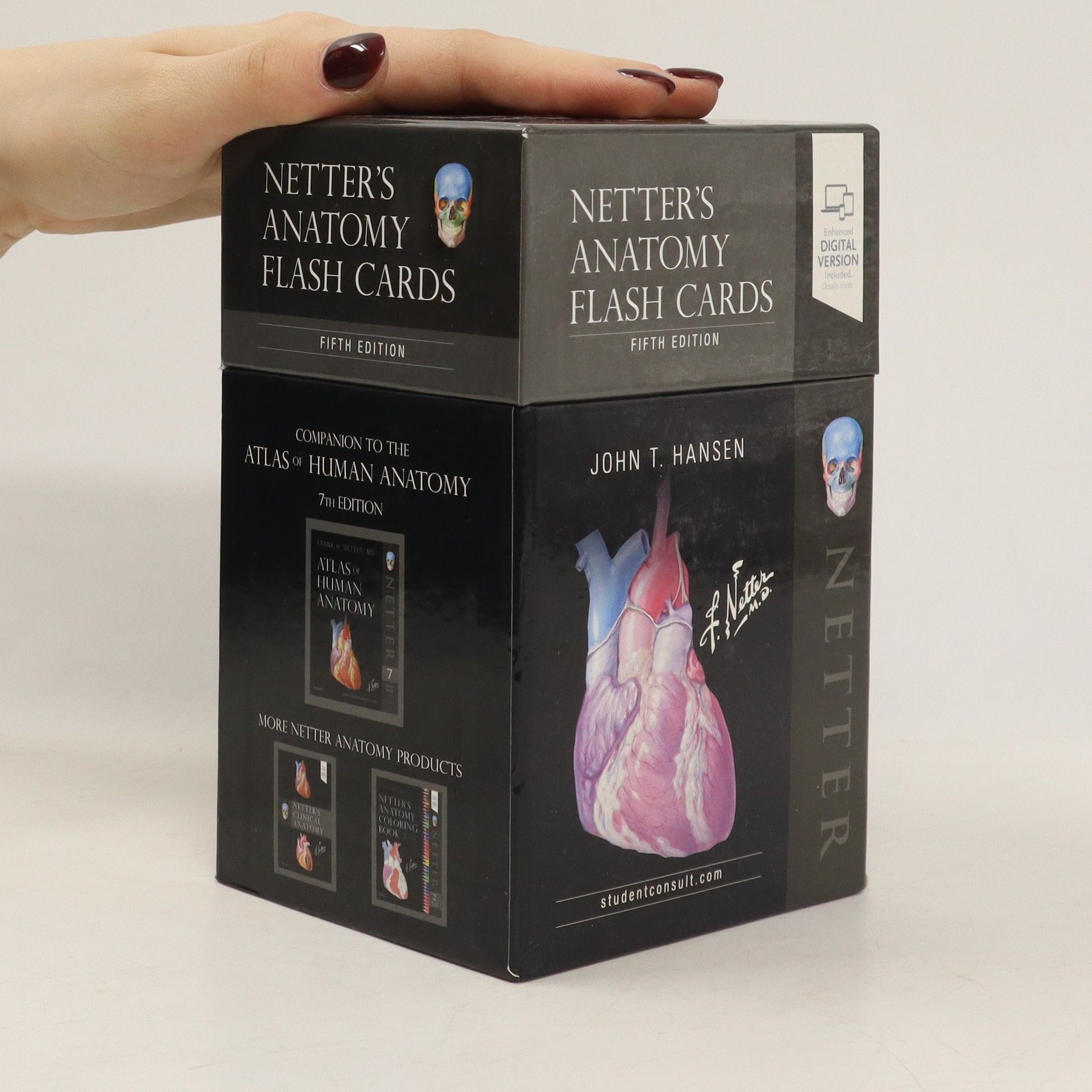 John T. Hansen Netter's Anatomy Flash Cards