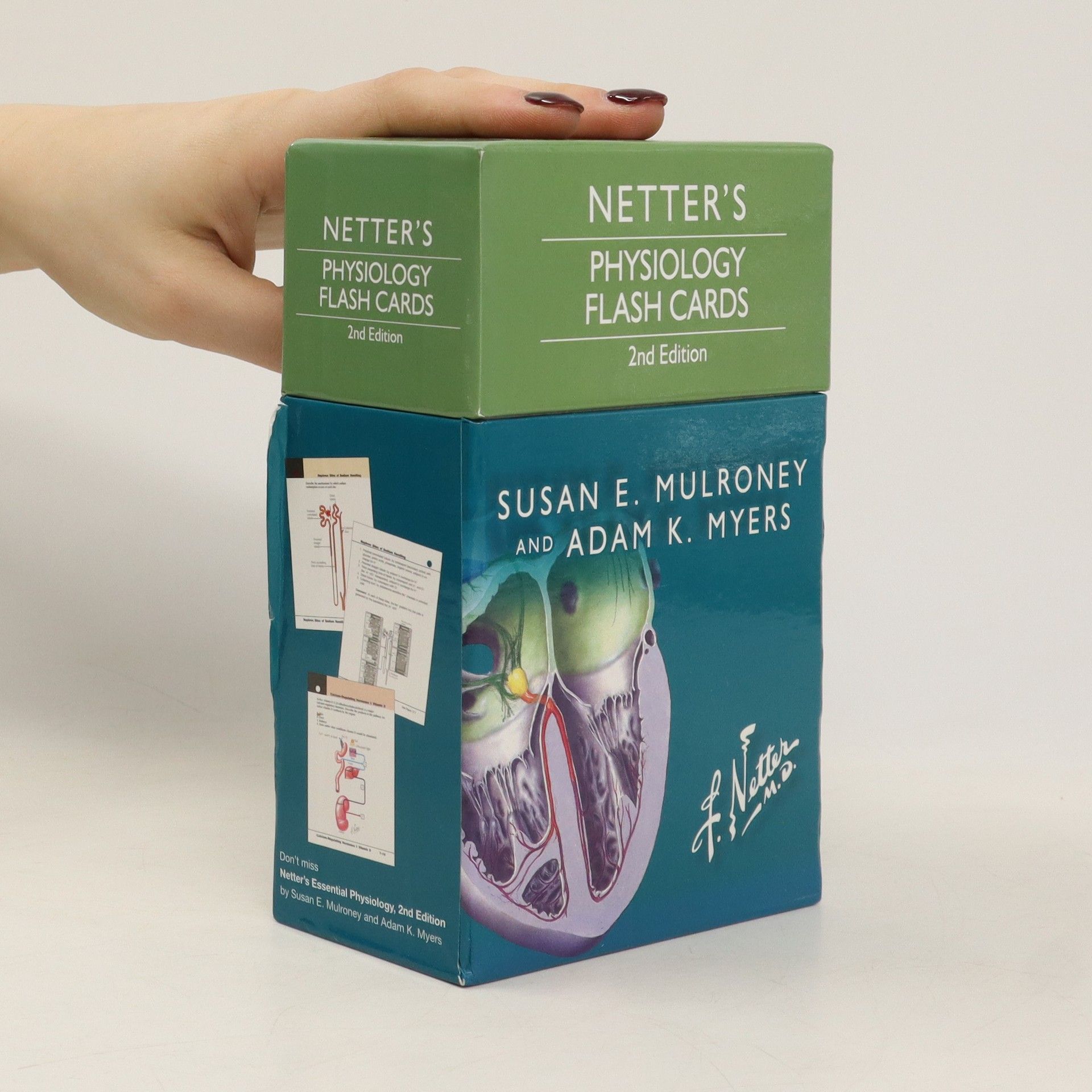 Adam K. Myers Netter's Physiology Flash Cards