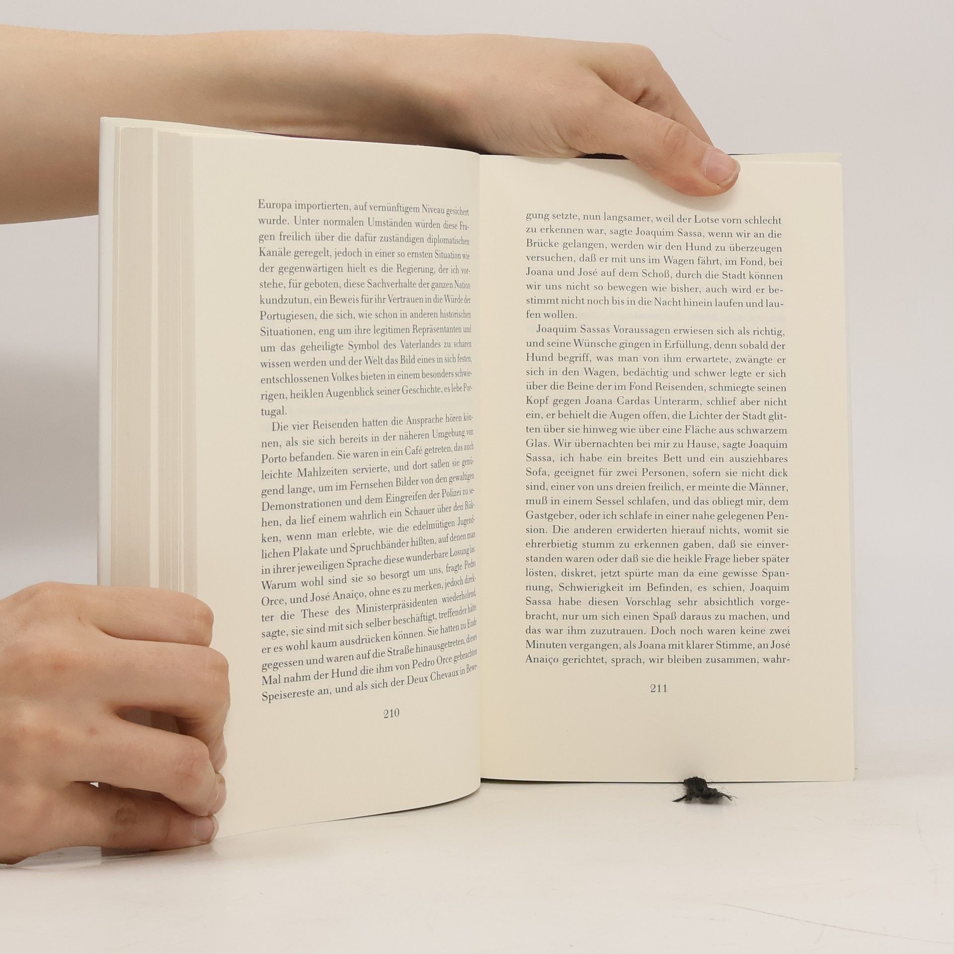 José Saramago Das steinerne Floss