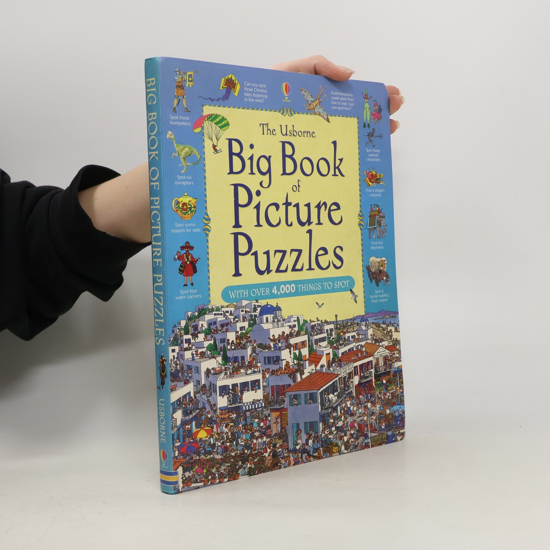 kolektiv The Usborne Big Book of Picture Puzzles