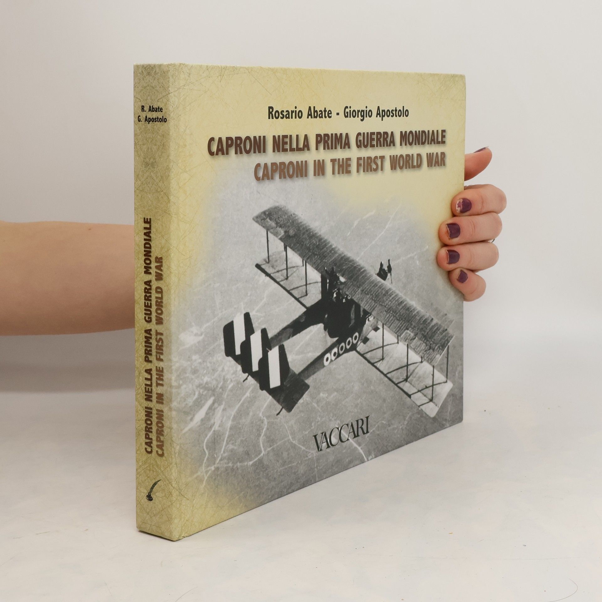 Rosario Abate Caproni nella prima guerra mondiale. Caproni in the First World War