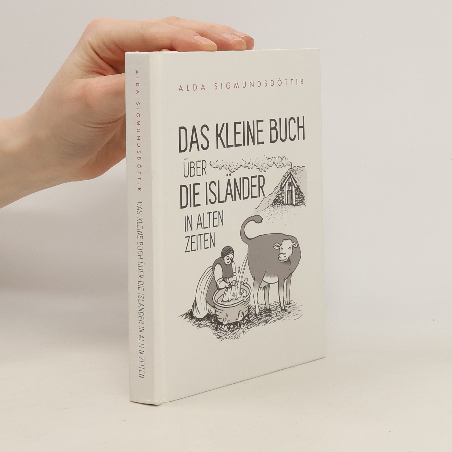 Alda Sigmundsdóttir Das Kleine Buch über die Isländer in alten Zeiten