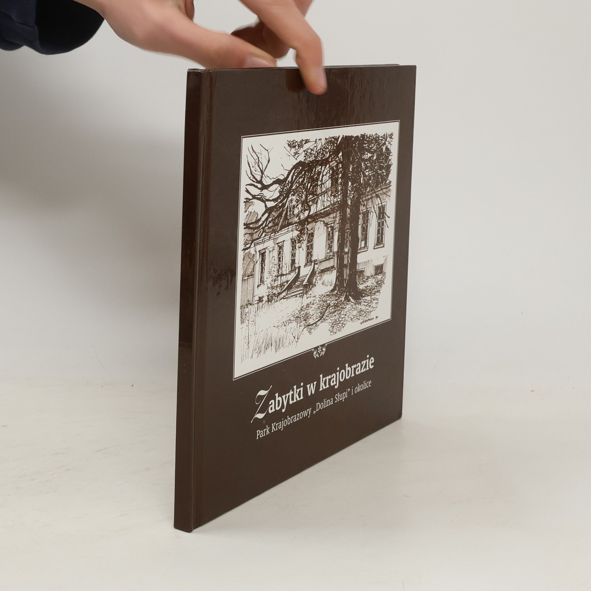 Collectif d'auteurs Zabytki w krajobrazie