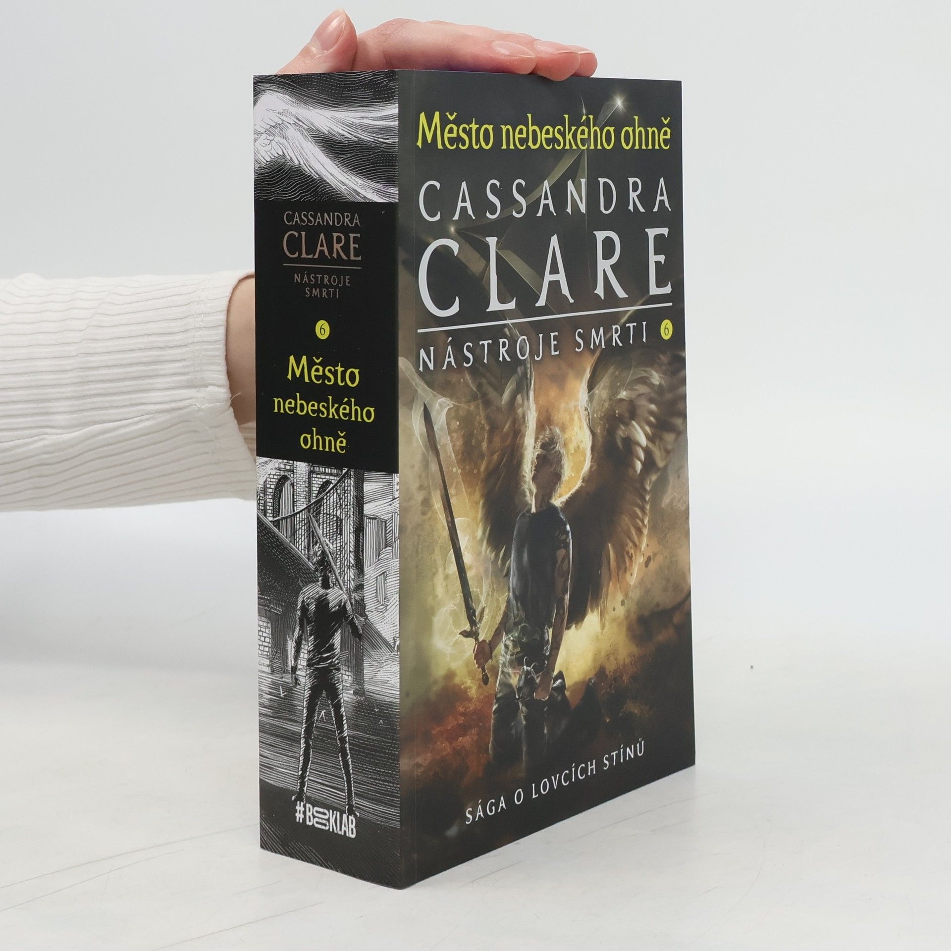Cassandra Clare Nástroje smrti 6: Město nebeského ohně