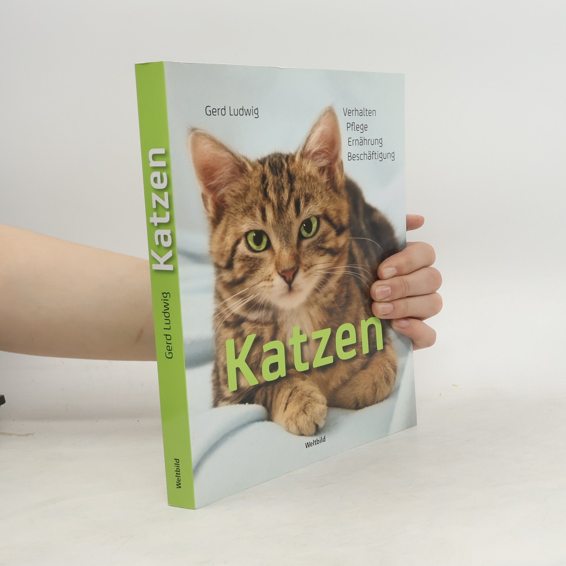 Gerd Ludwig Katzen. Verhalten, Pflege, Ernährung, Beschäftigung