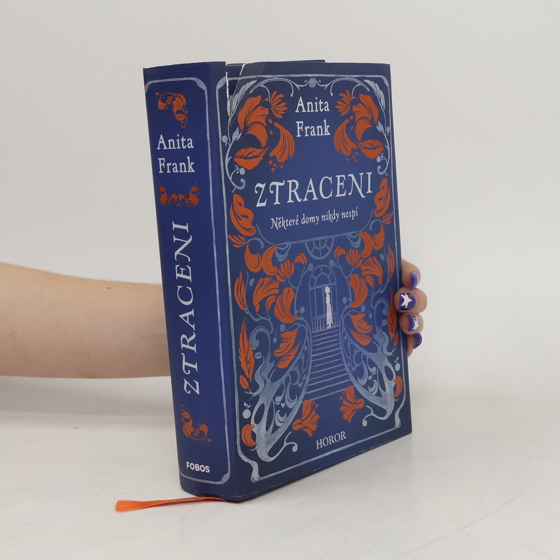 Anita Frank Ztraceni