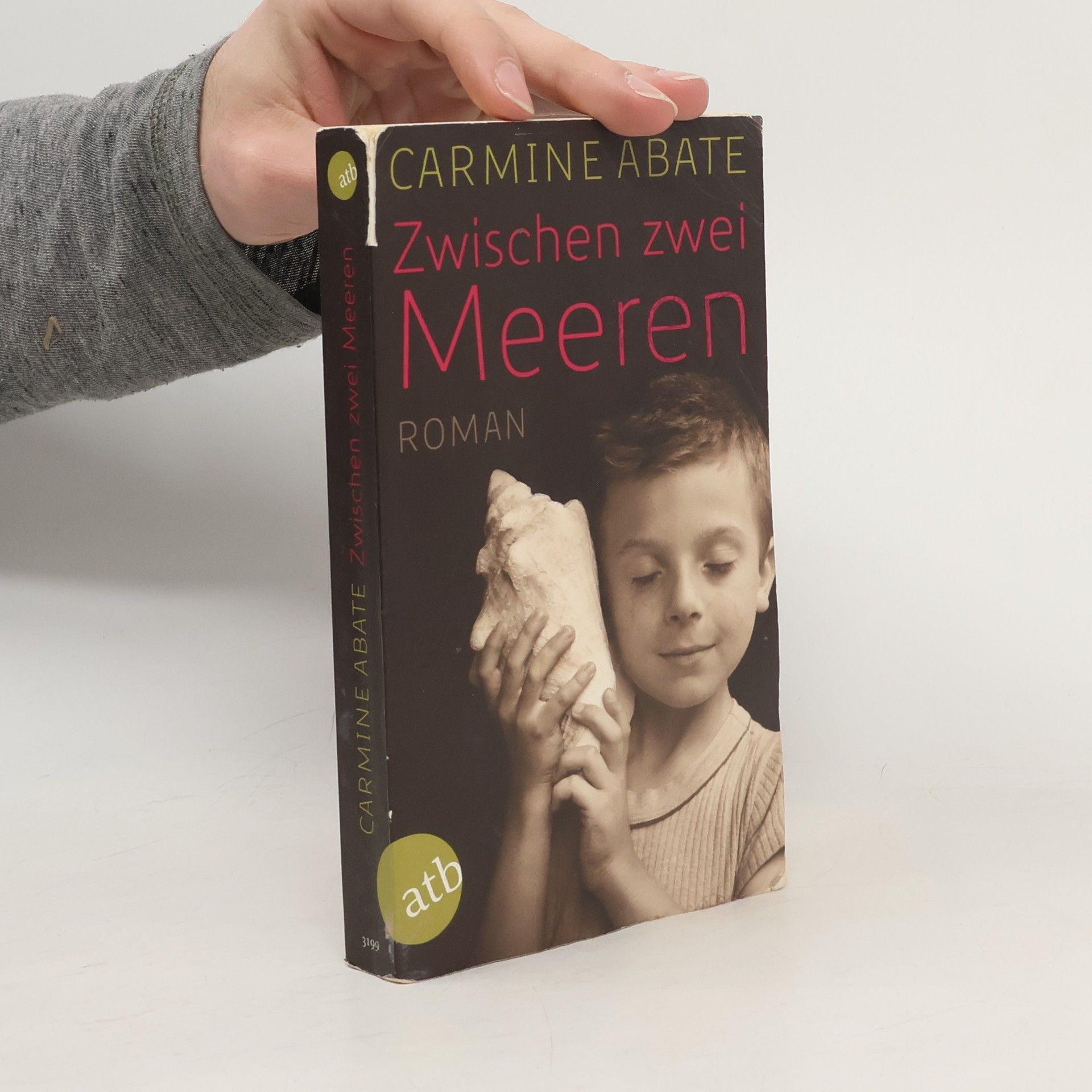 Carmine Abate Zwischen zwei Meeren
