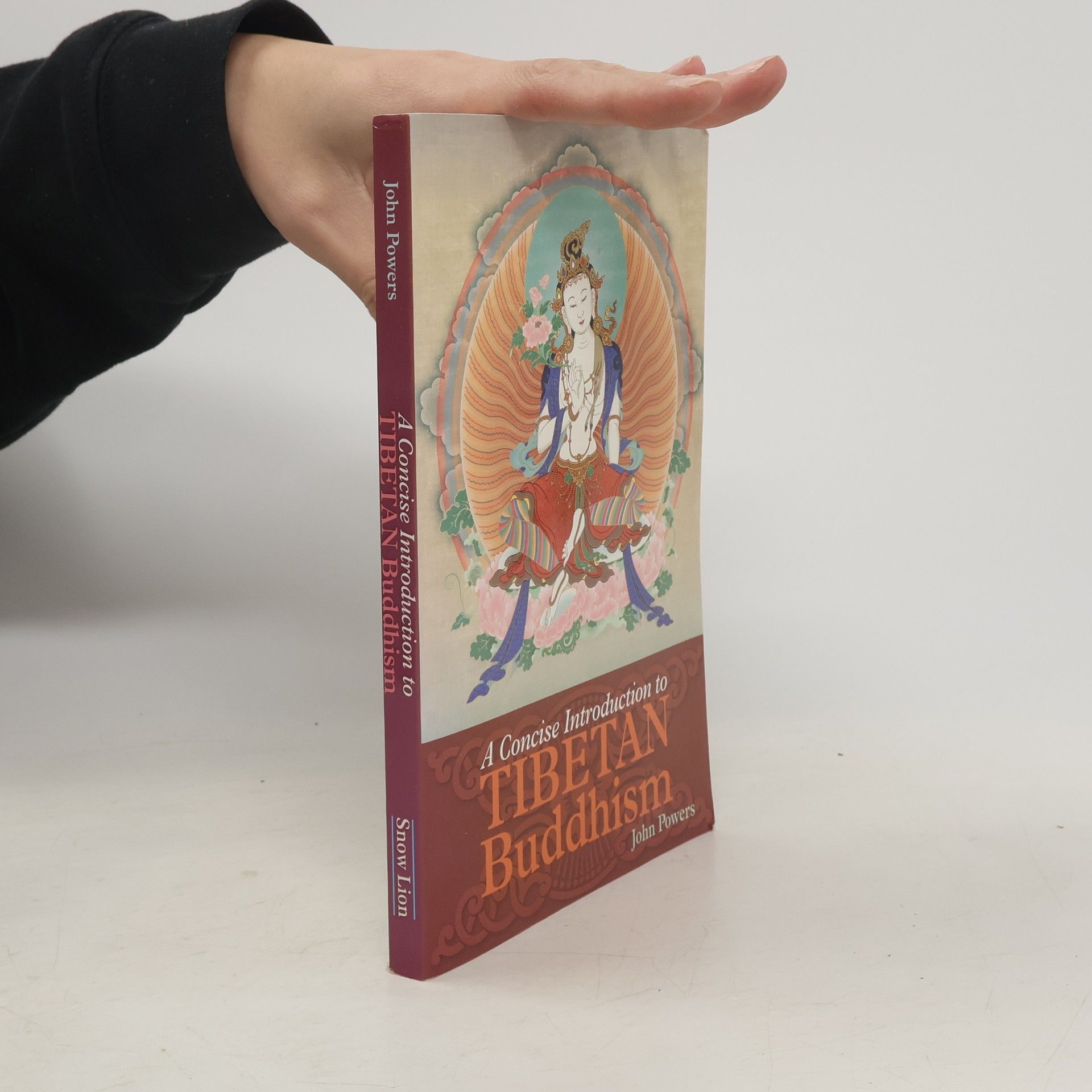 John Powers A Concise Introduction to Tibetan Buddhism