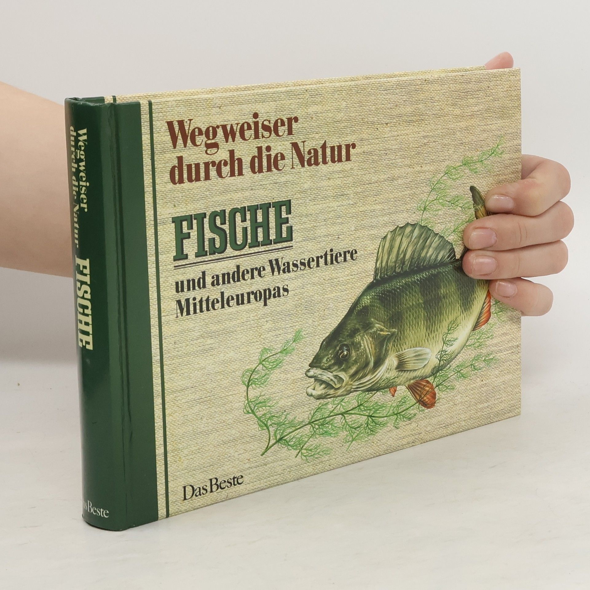 Hans Jürgen Flügel Fische und andere Wassertiere Mitteleuropas