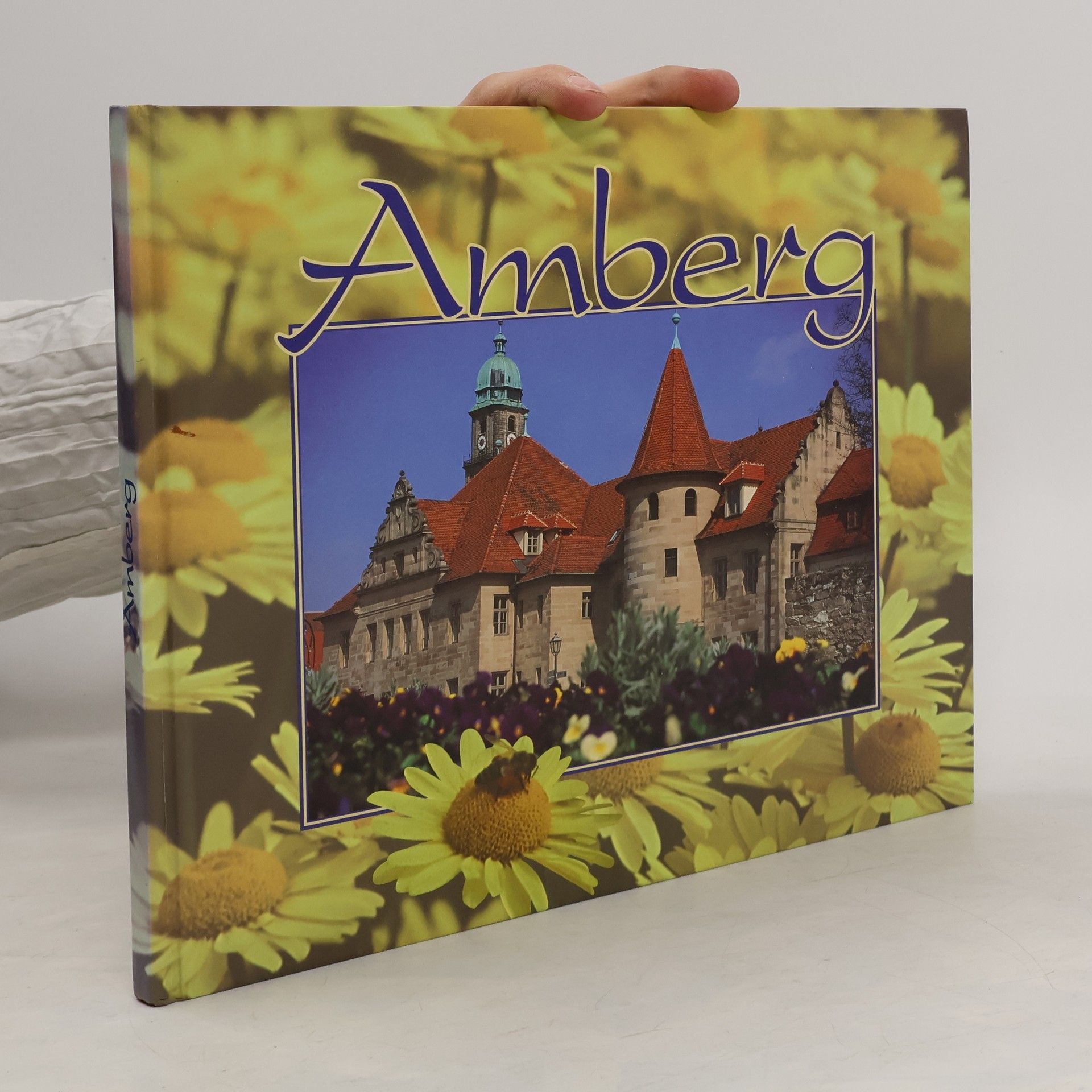 Autorenkollektiv Amberg