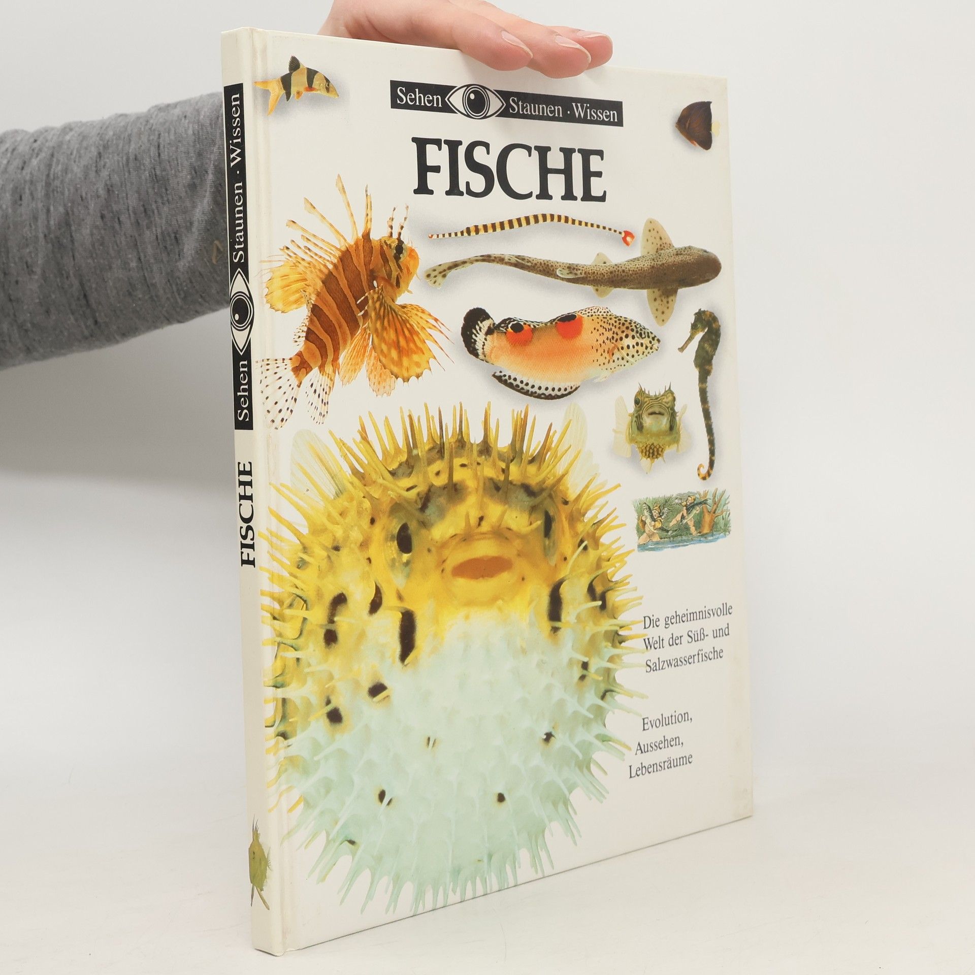 Autorenkollektiv Fische
