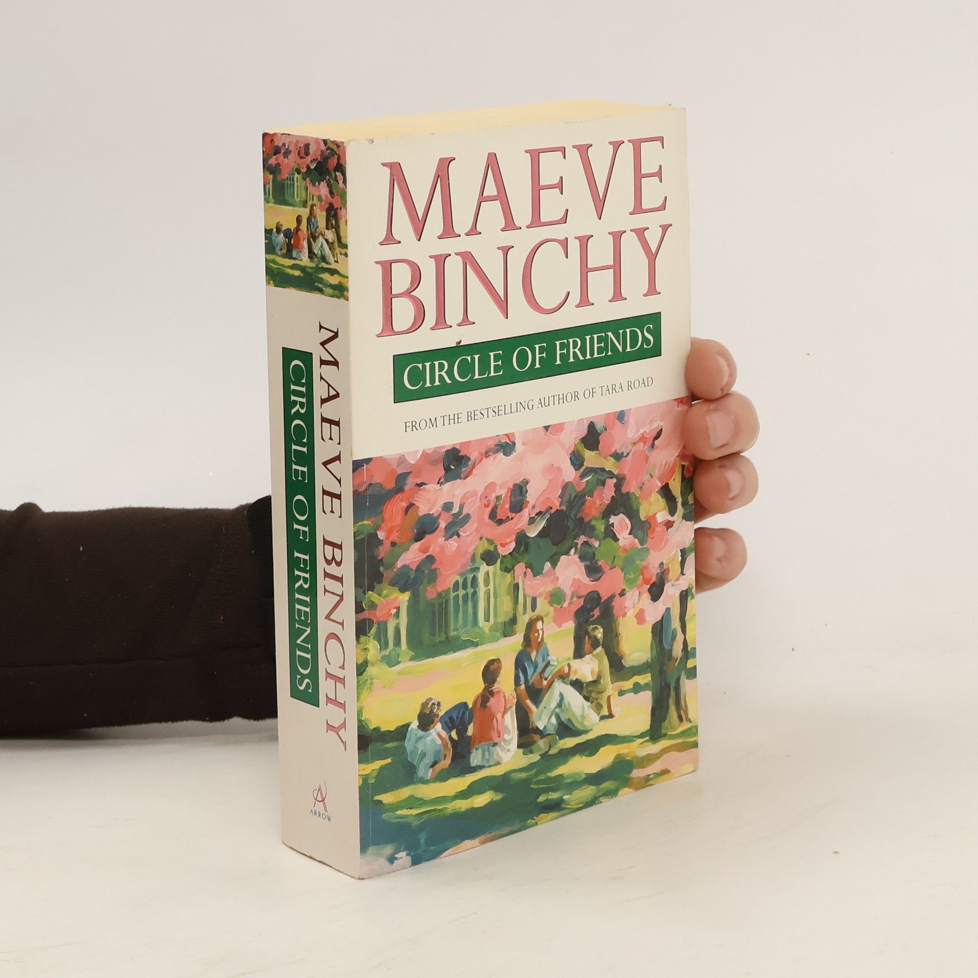Maeve Binchy Circle of Friends