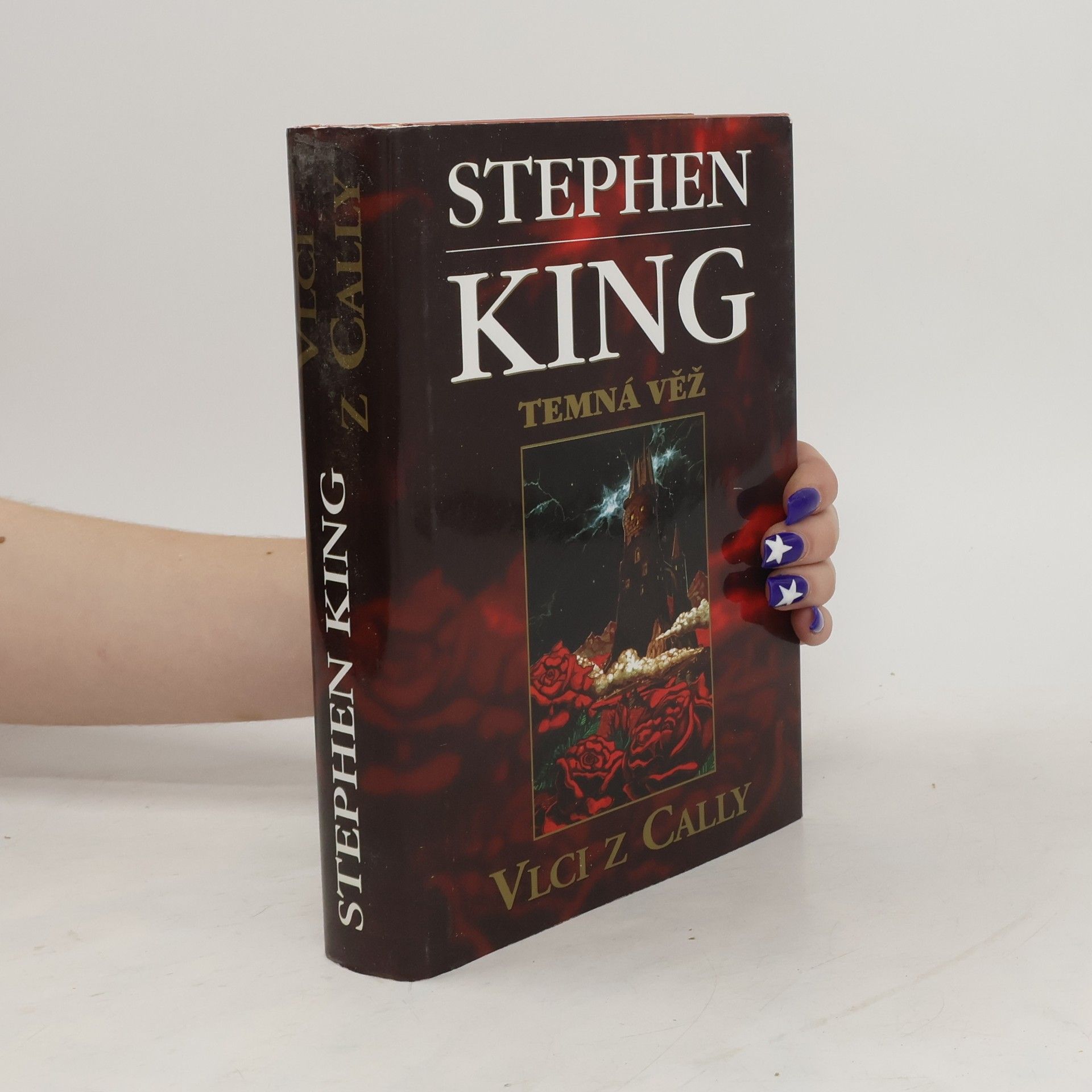 Stephen King Temná věž V.