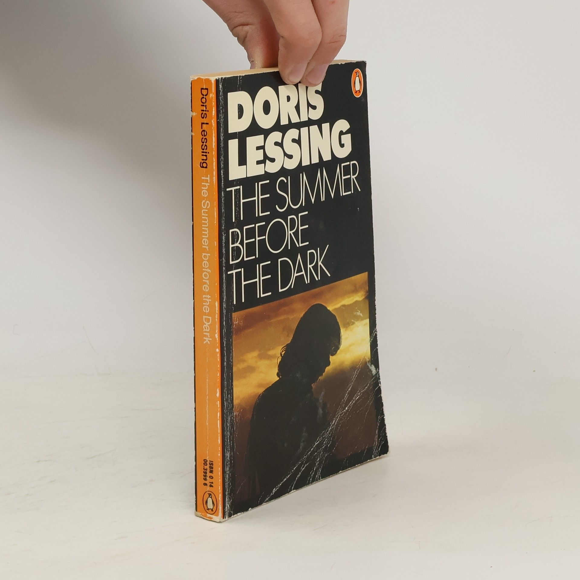 Doris Lessingová The Summer before the Dark
