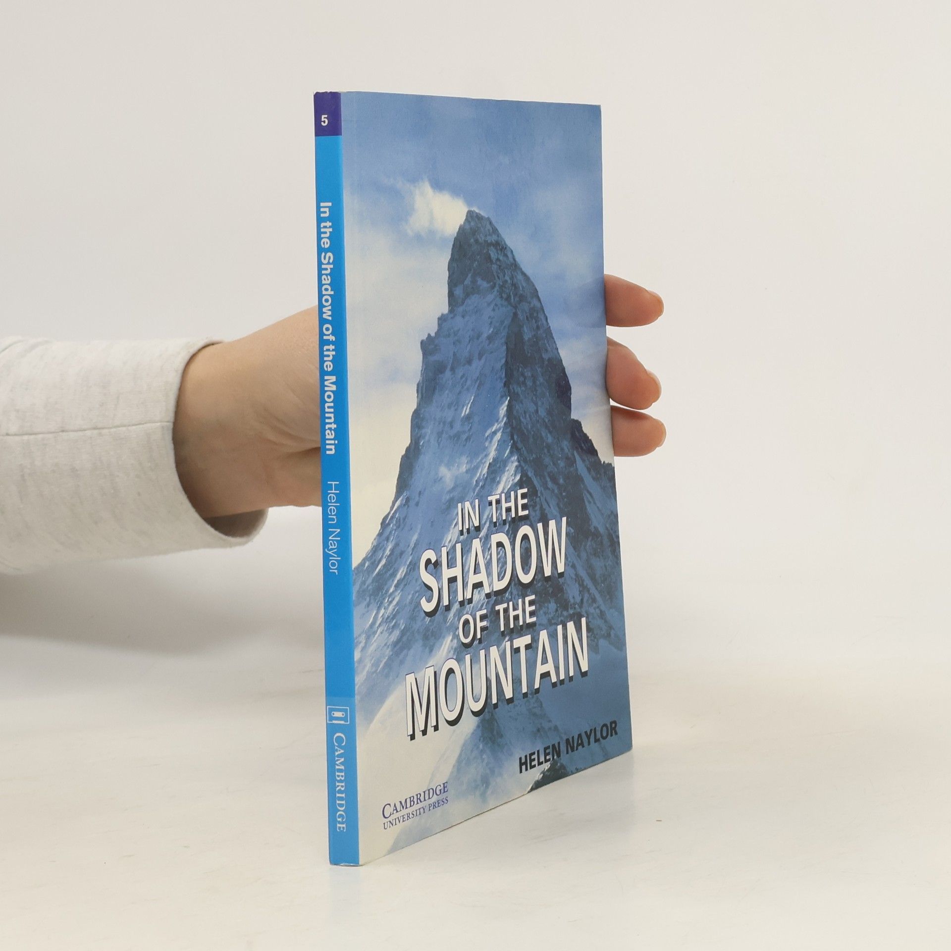 Helen Naylor In the Shadow of the Mountain