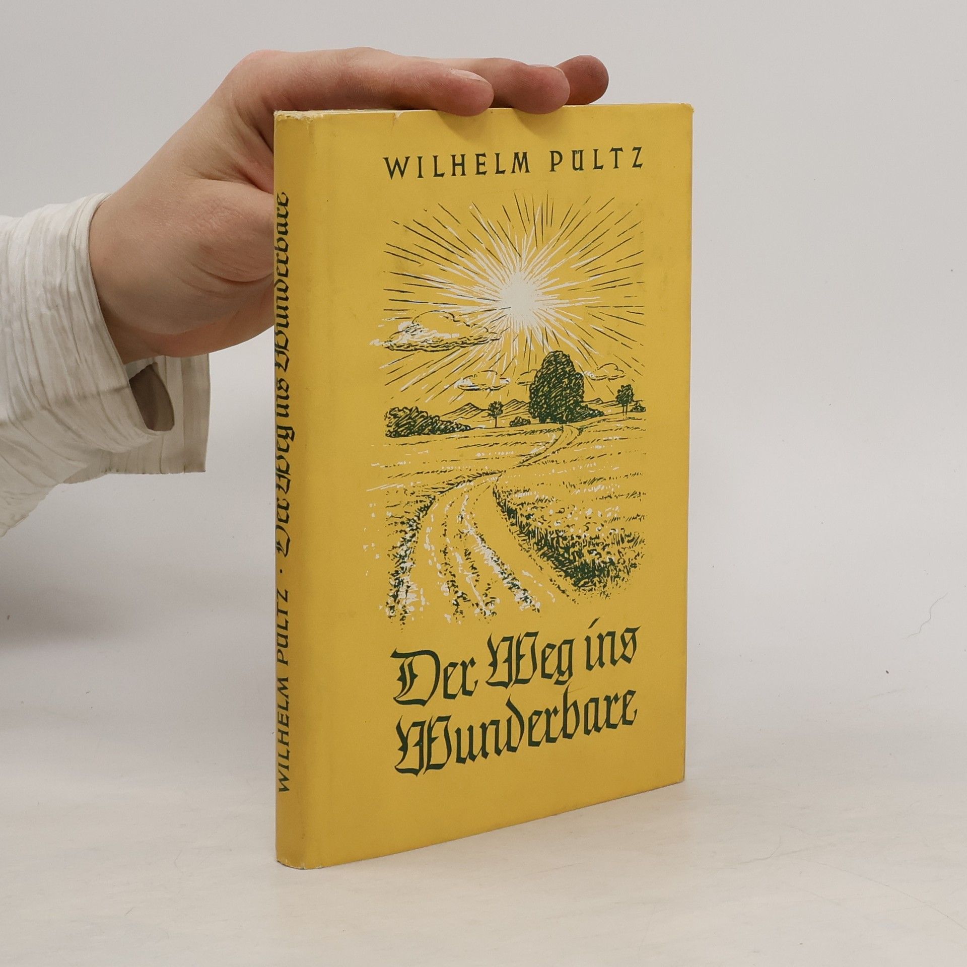 Wilhelm Pültz Der Weg ins Wunderbare