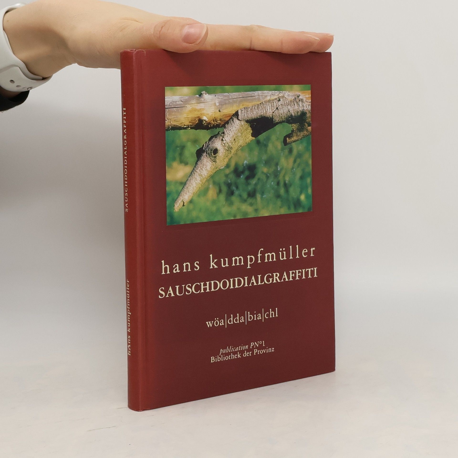 Hans Kumpfmüller Sauschdoidialgraffiti